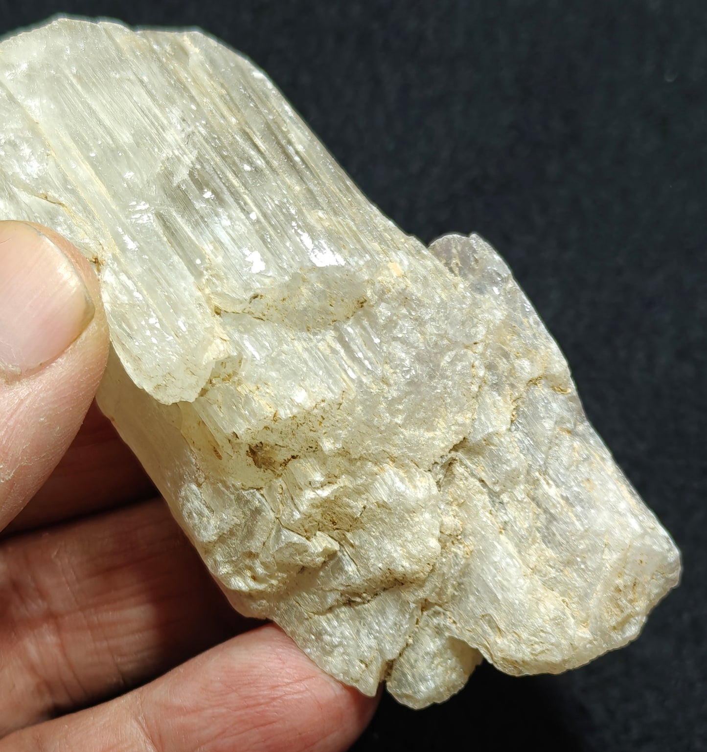 An amazing specimen of Bicolor terminated spodumene crystal 157 grams