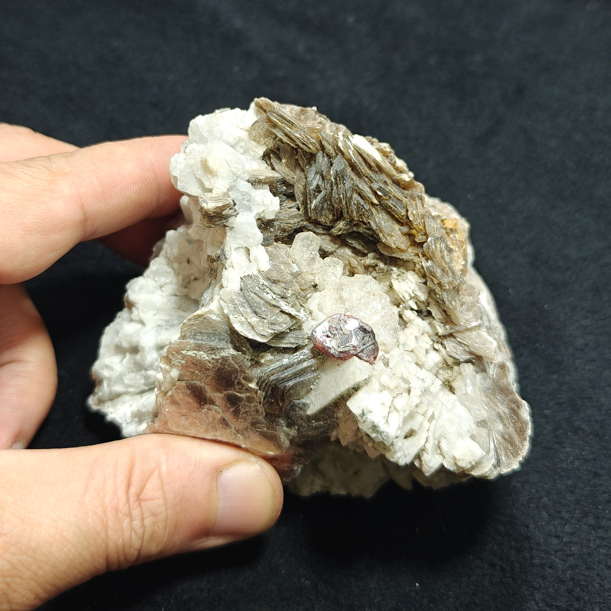 Natural spessartine garnet embedded in muscovite, with albite and quartz 544 grams