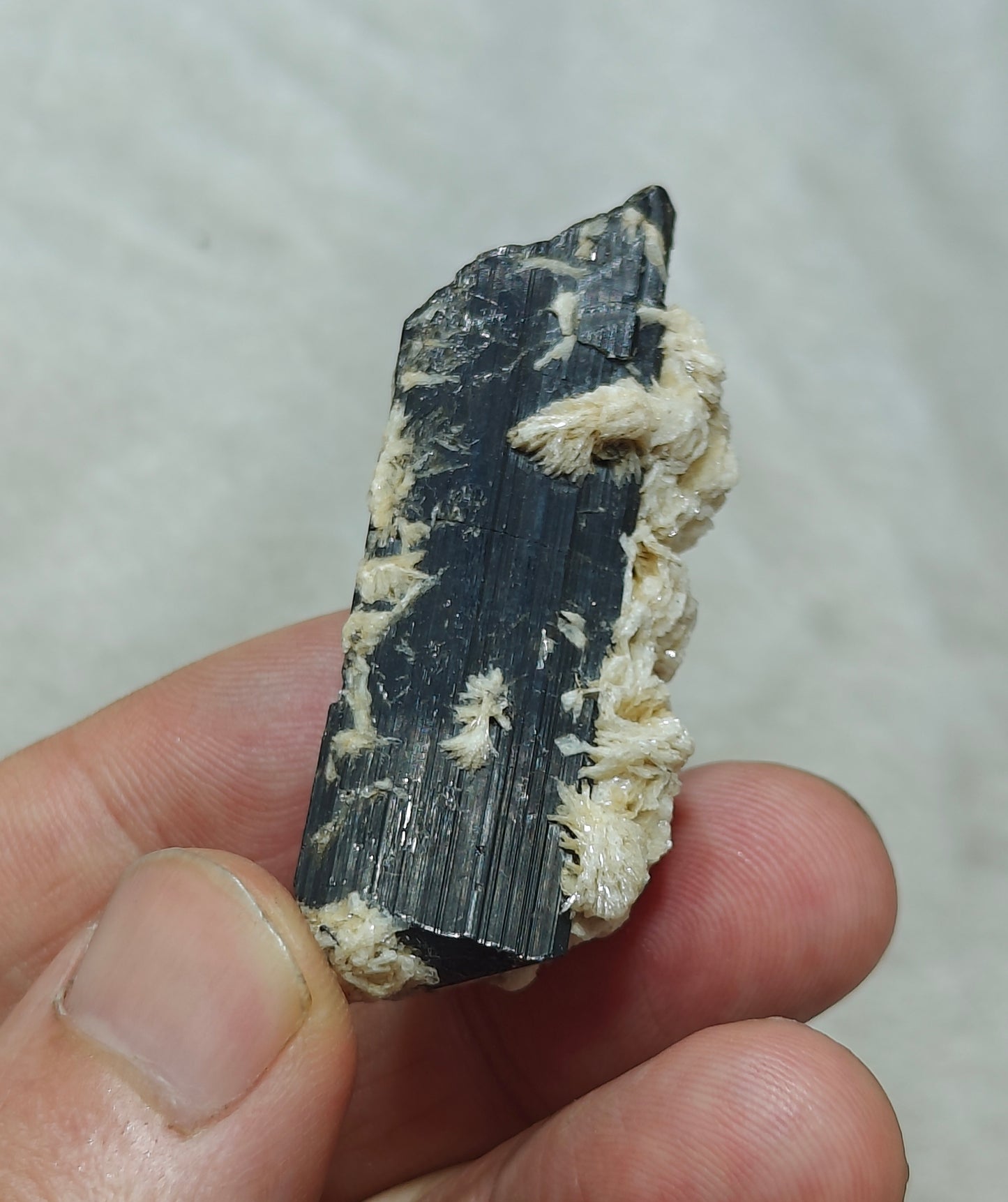 Natural Tourmaline crystal with associated Albite 30 grams
