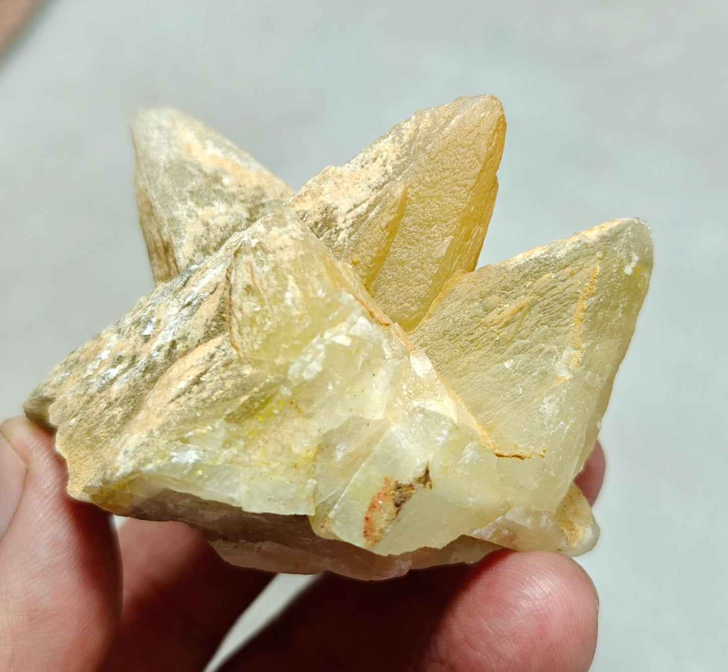 Single beautiful Dogteeth calcite crystals cluster with beautiful terminations 154 grams
