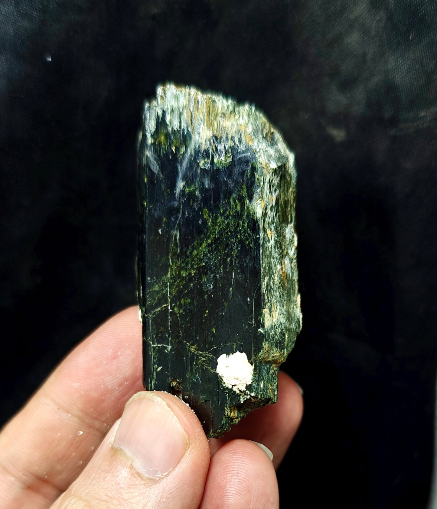 Single beautiful aesthetic terminated aegirine crystal specimen with Albite 140 grams