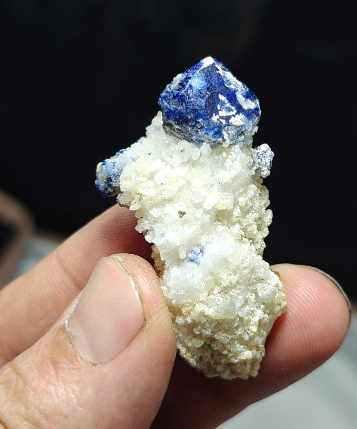 Amazing single Lazurite Afghanite specimen on matrix 25 grams