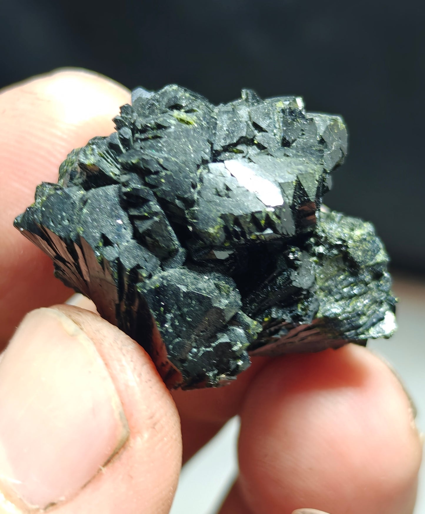 bowtie Epidote 20 grams