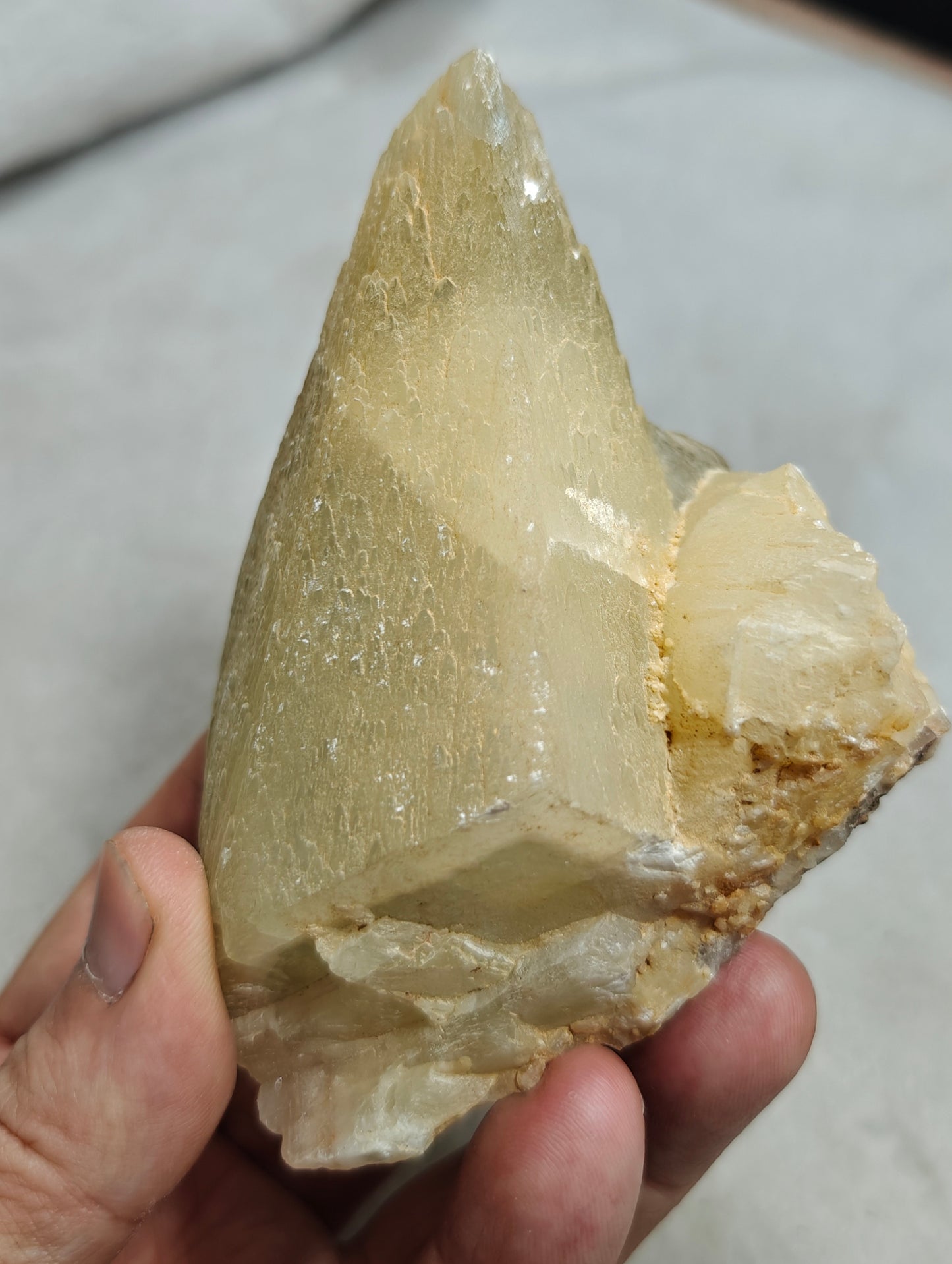 Natural Dogteeth calcite crystal 419 grams