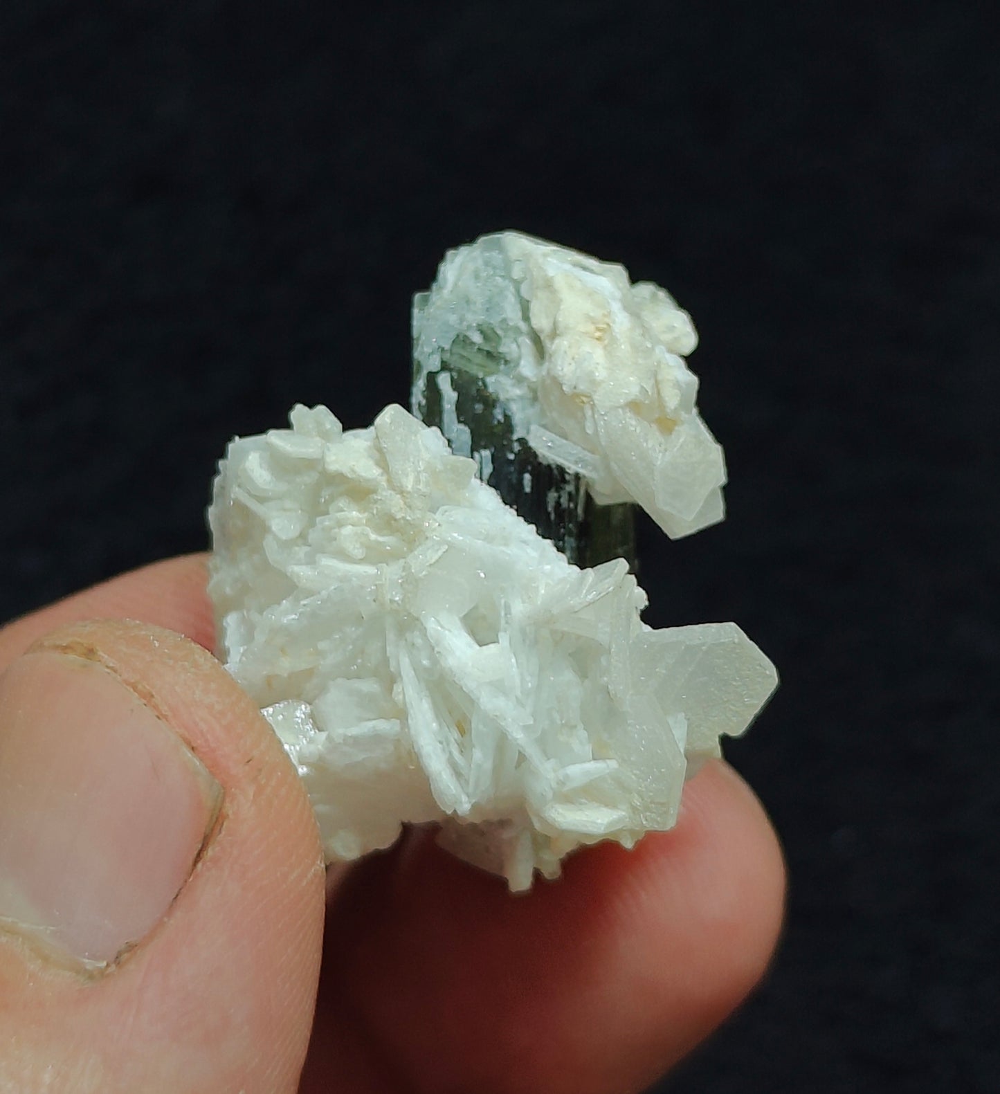 Natural dark green Tourmaline crystal and associated cleavlandite 10 grams