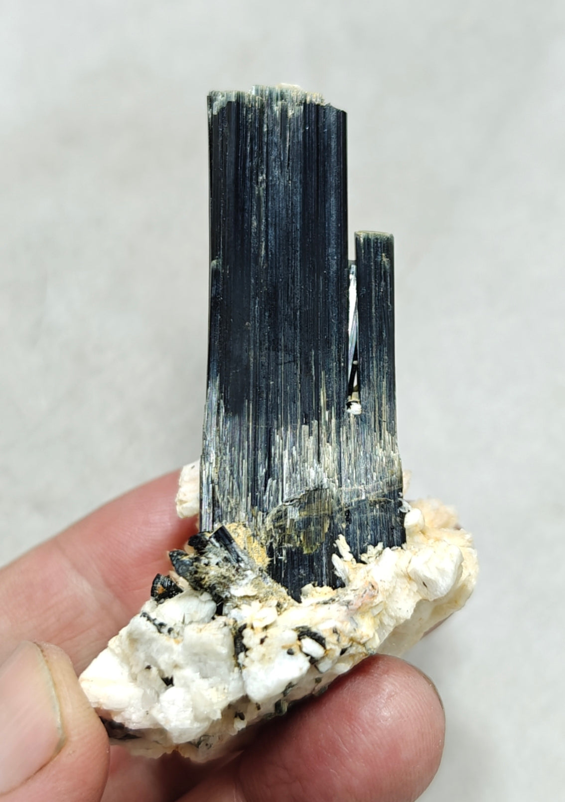 Tourmaline crystals on matrix with Albite attachment self standing 89 grams