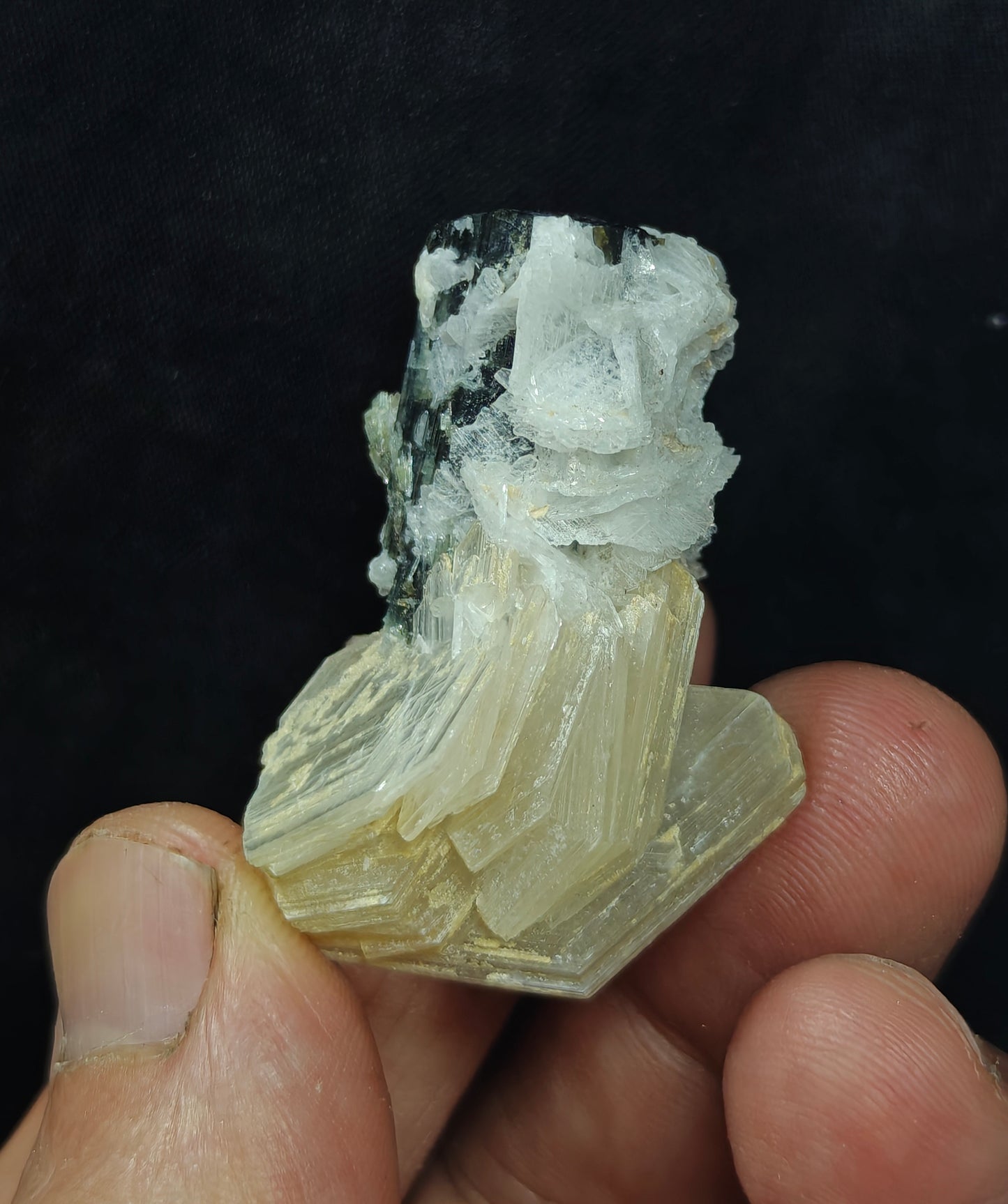 Natural dark green color Tourmaline crystal with associated cleavelandite, muscovite and a small quartz 24grams