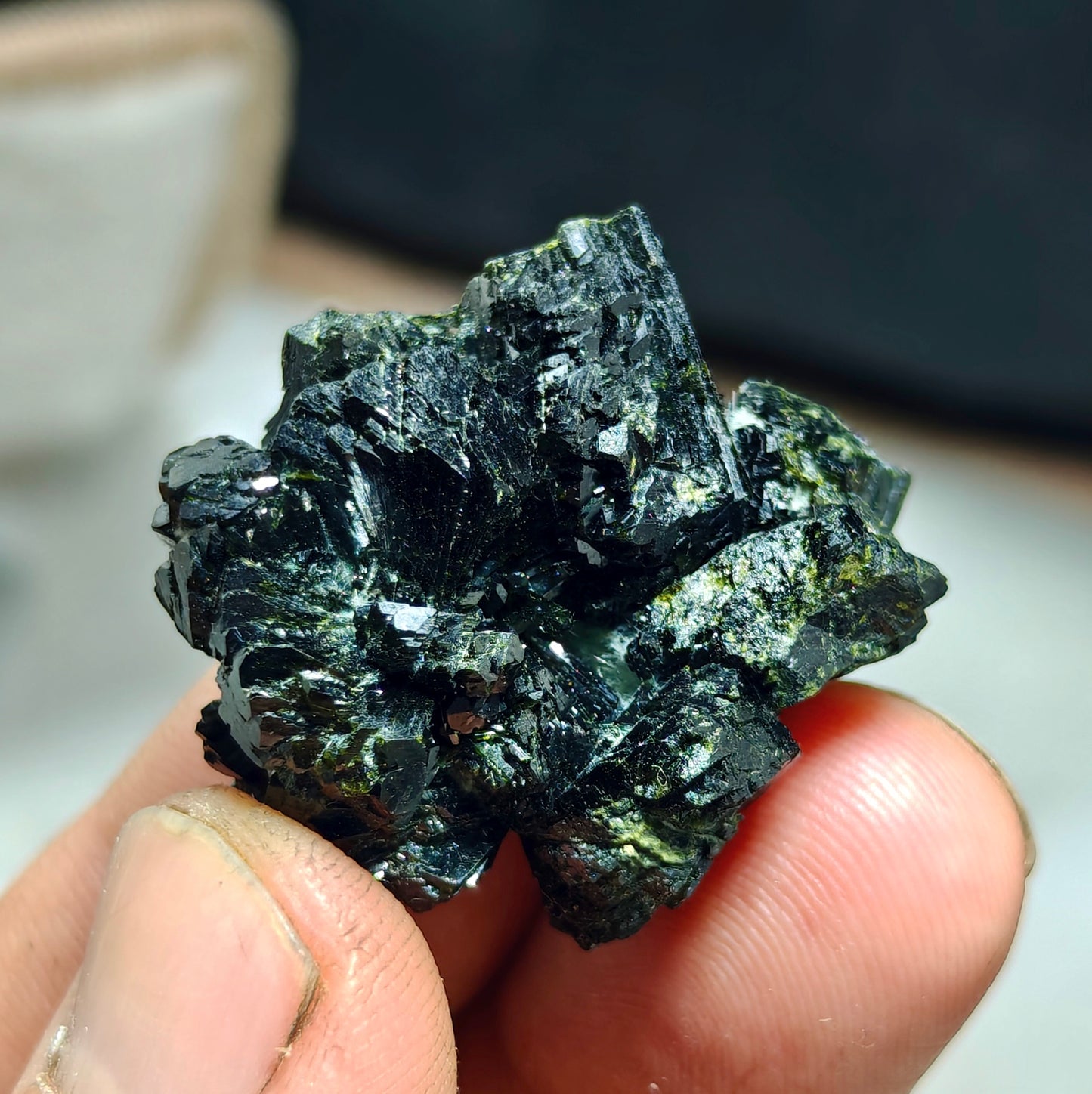Bowtie Epidote spray cluster 23 grams
