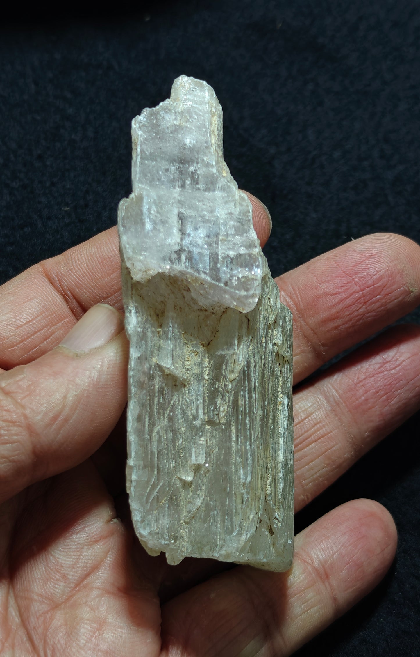 An amazing specimen of Bicolor terminated spodumene crystal 157 grams
