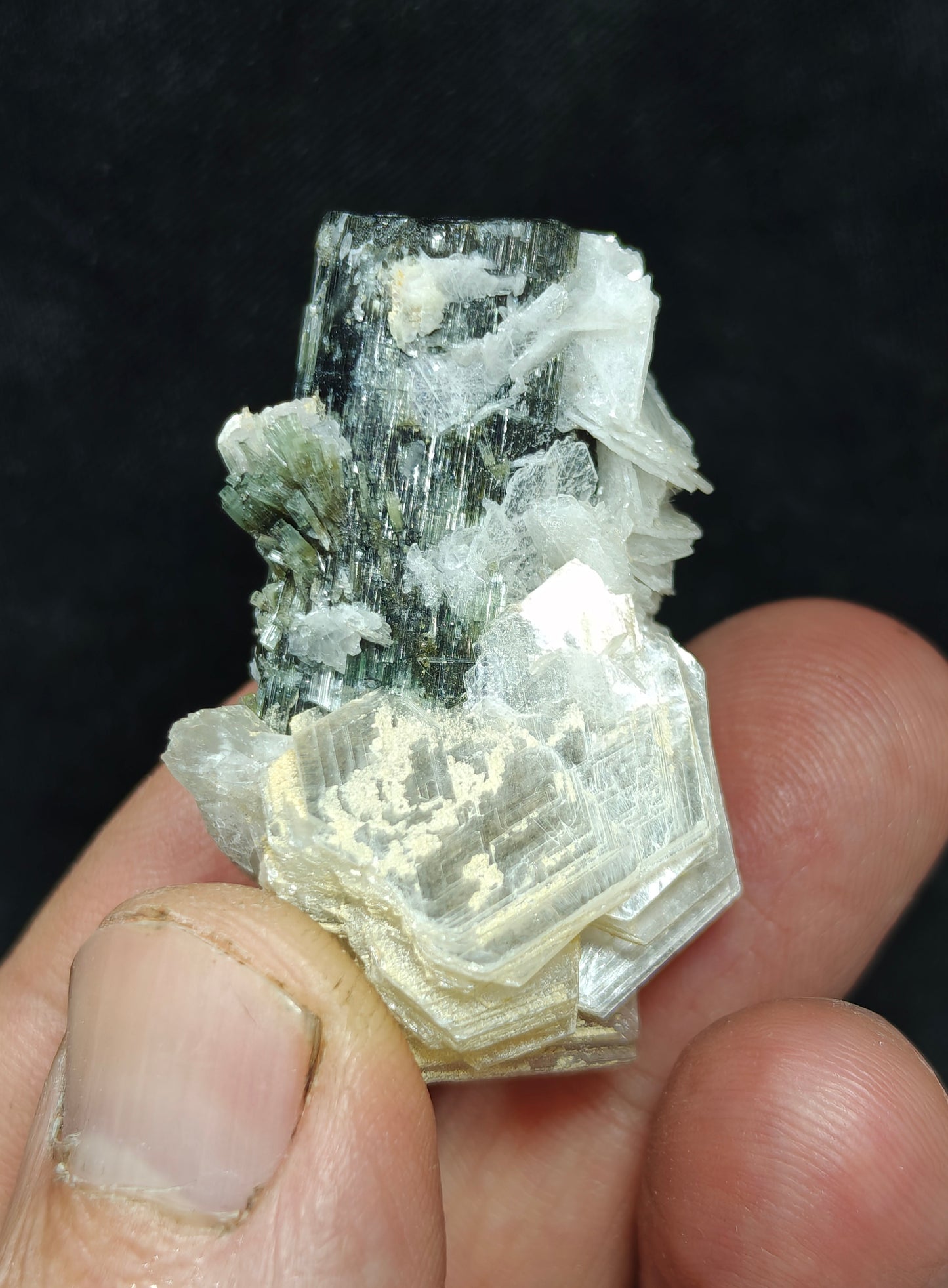 Natural dark green color Tourmaline crystal with associated cleavelandite, muscovite and a small quartz 24grams