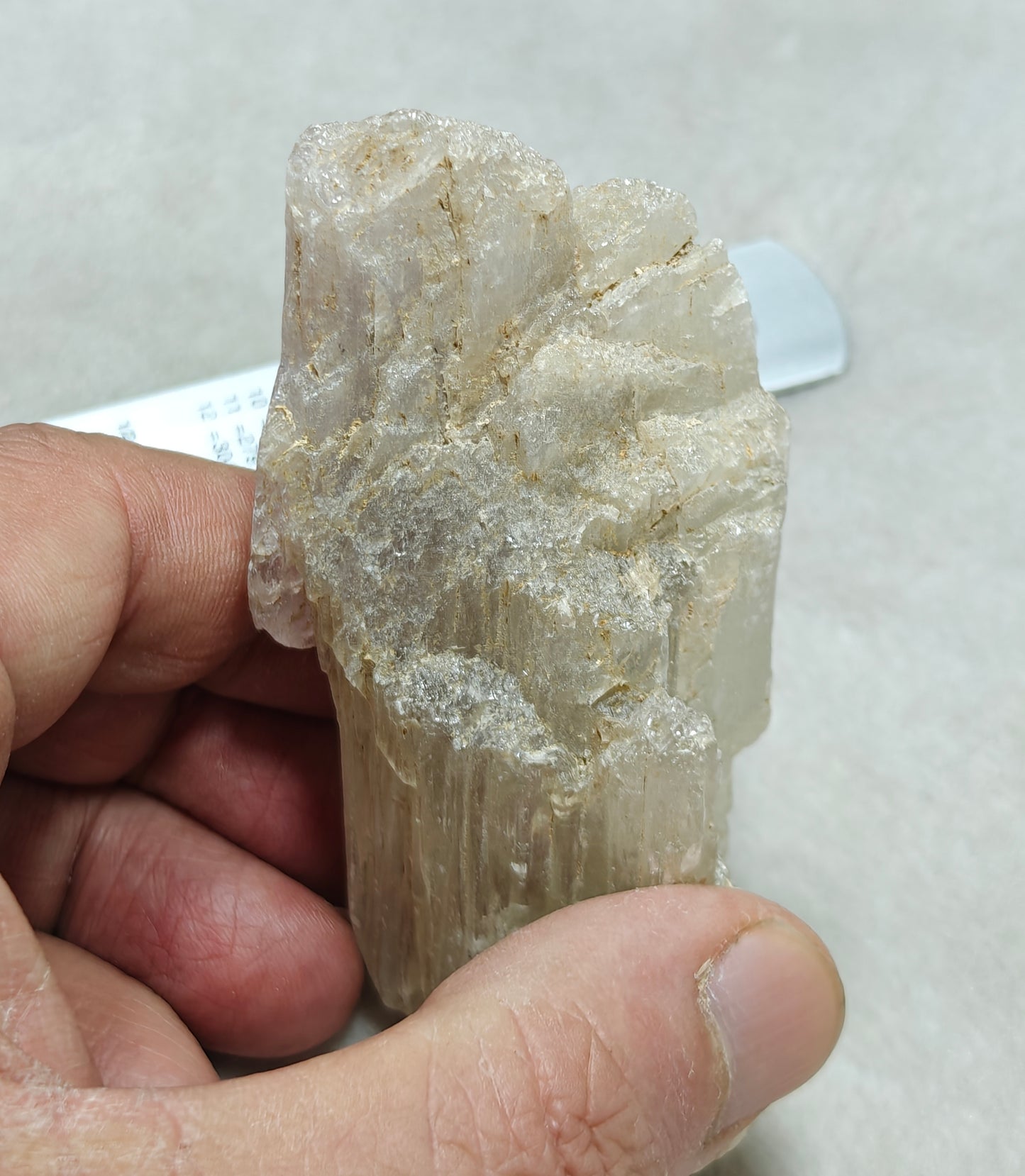 An amazing specimen of Bicolor terminated spodumene crystal 157 grams