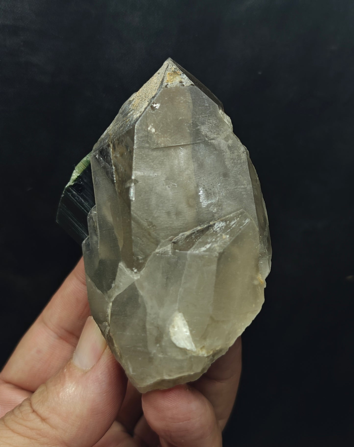 Natural greencap black/green Tourmaline crystal with smoky quartz 212 grams