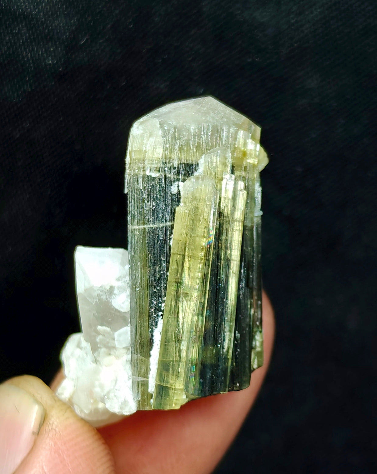 Natural dark green Tourmaline crystal with white head and associated quartz 14 grams