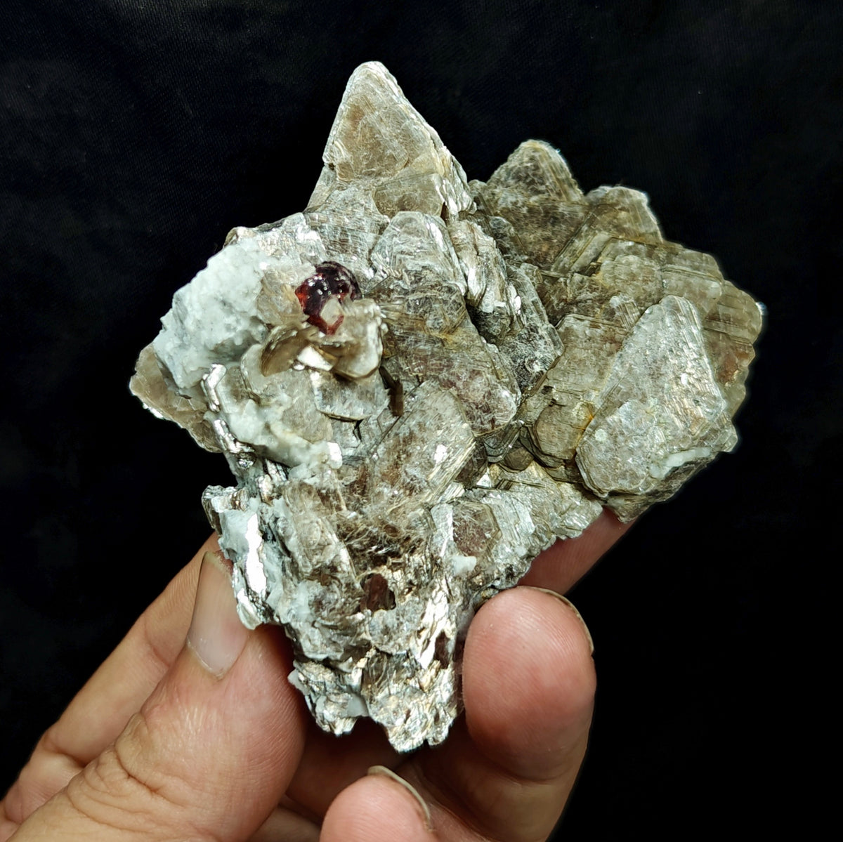 Natural spessartine garnet embedded in muscovite with albite 152 grams