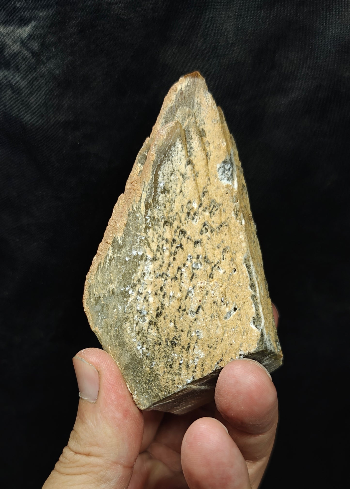 Naturally terminated Dogteeth Calcite Crystal 274 grams