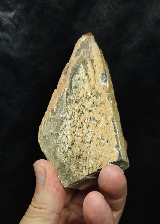 Naturally terminated Dogteeth Calcite Crystal 274 grams