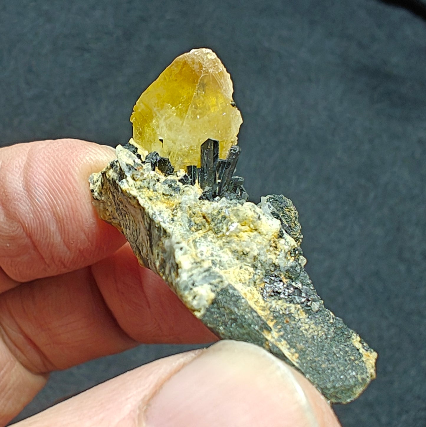 Titanite sphene with actinolite or aegirine on matrix 21g