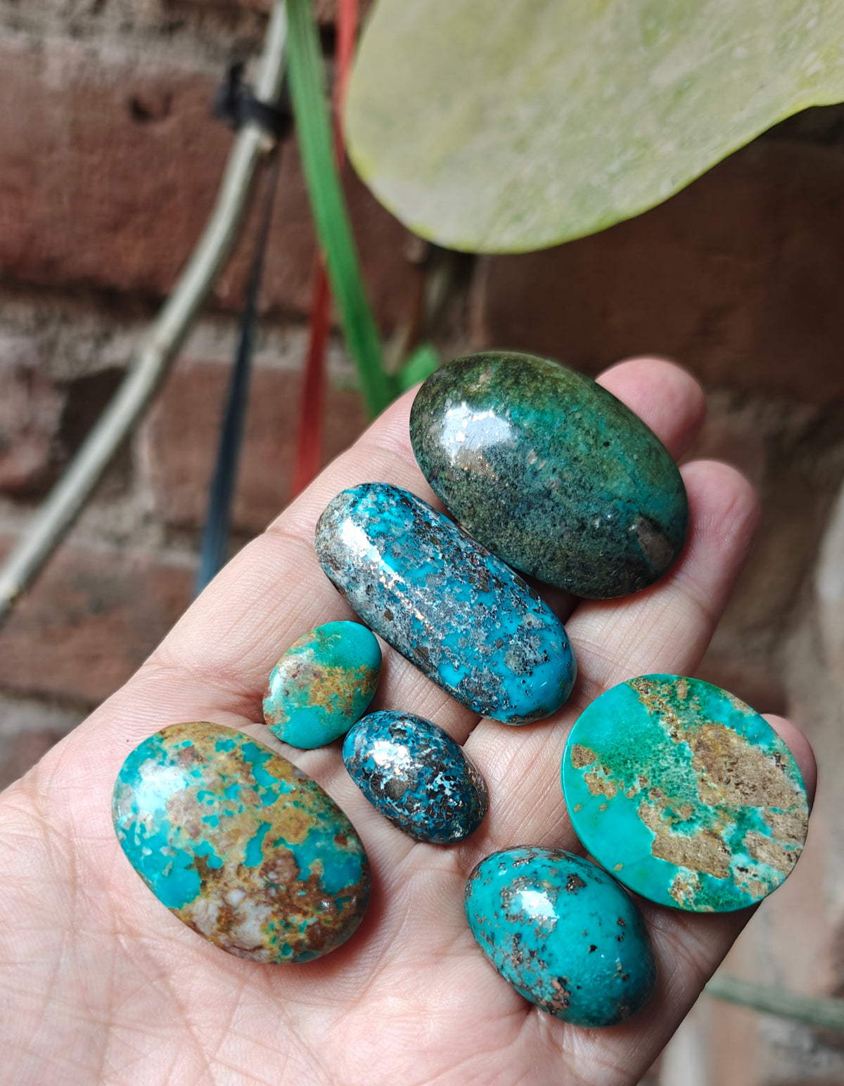 Natural stabilized turquoise cabochon collection 83 grams