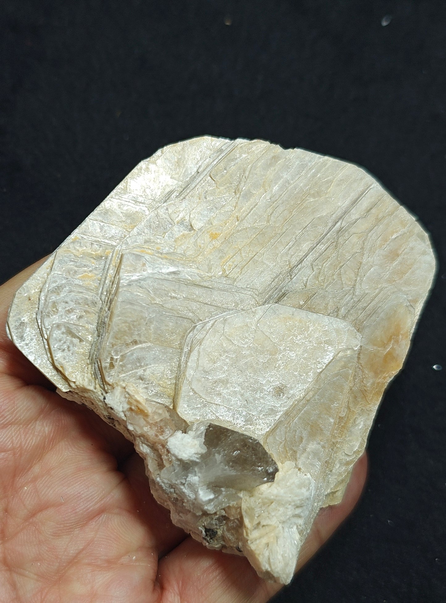 Mica variety muscovite 179 grams
