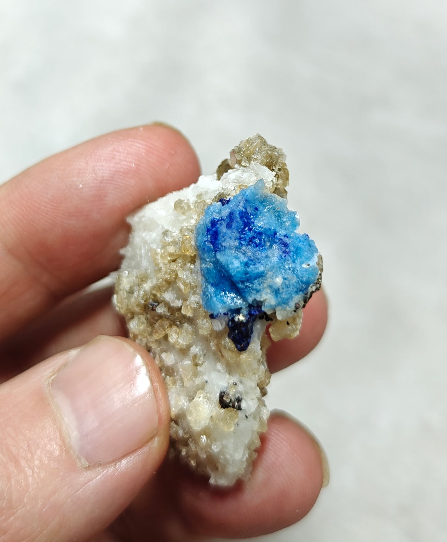 Afghanite Fluorescent in matrix with some pyrite and phlogopite 25 grams