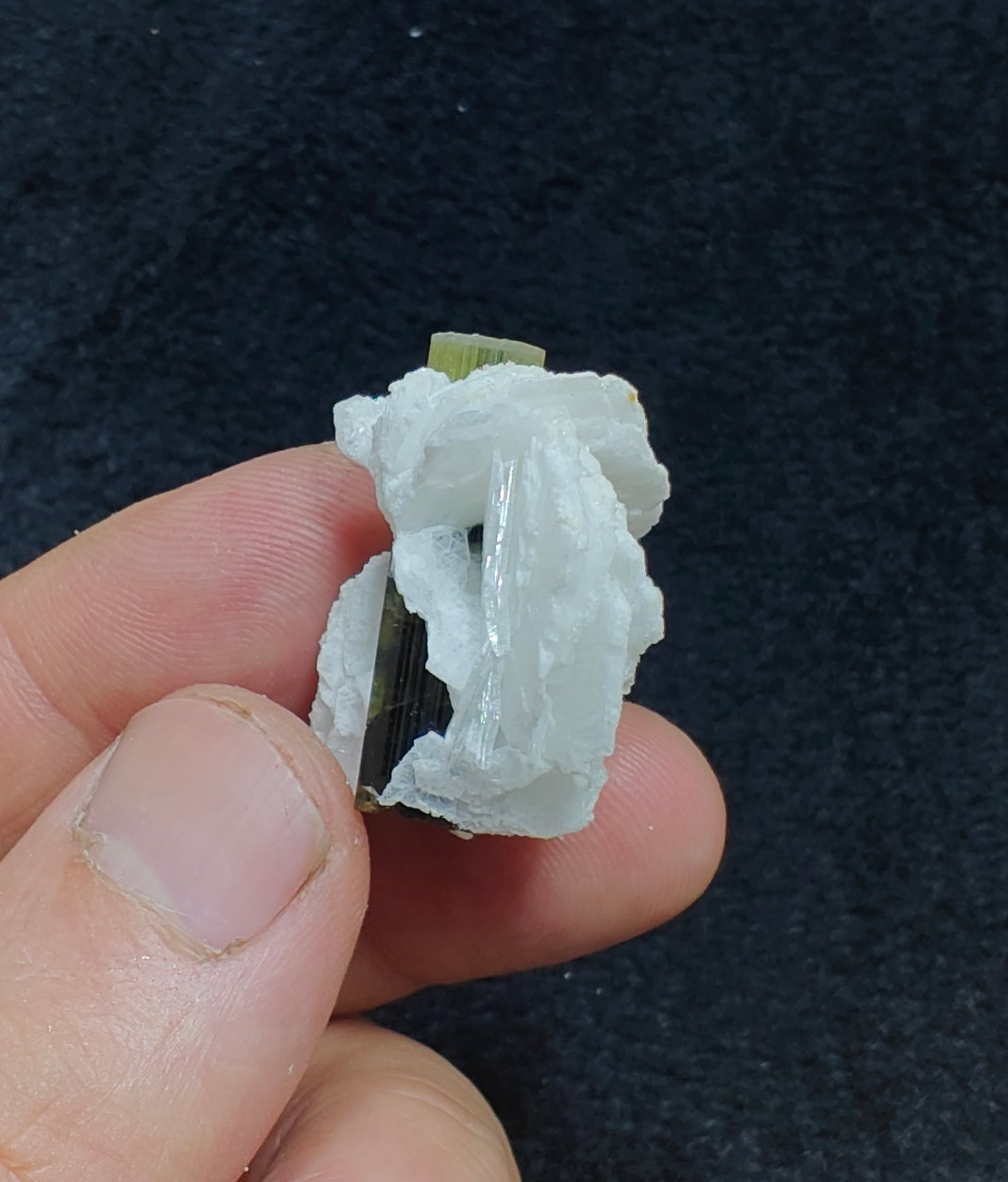 Greencap Tourmaline crystal with associated cleavelandite 10 grams