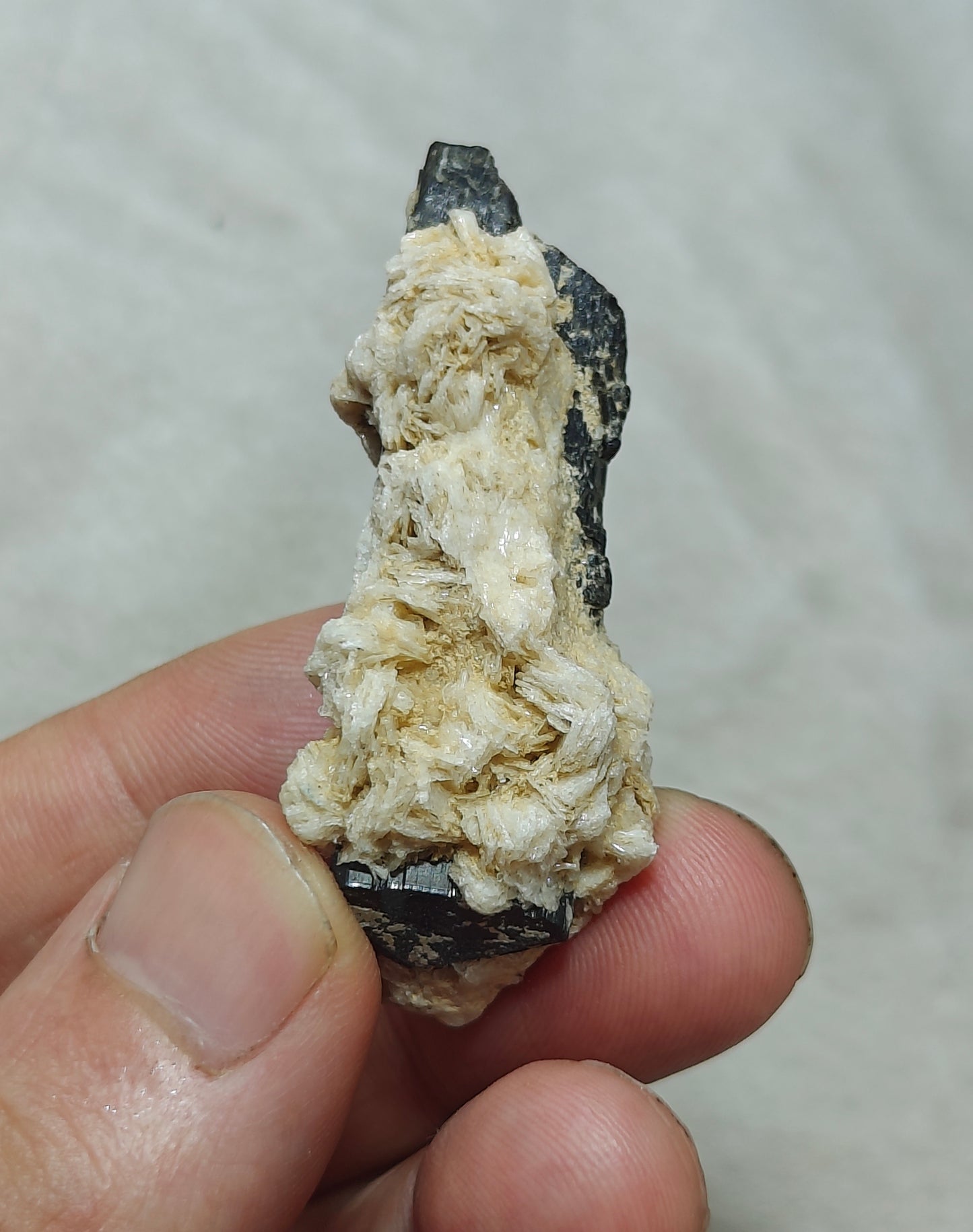 Natural Tourmaline crystal with associated Albite 30 grams
