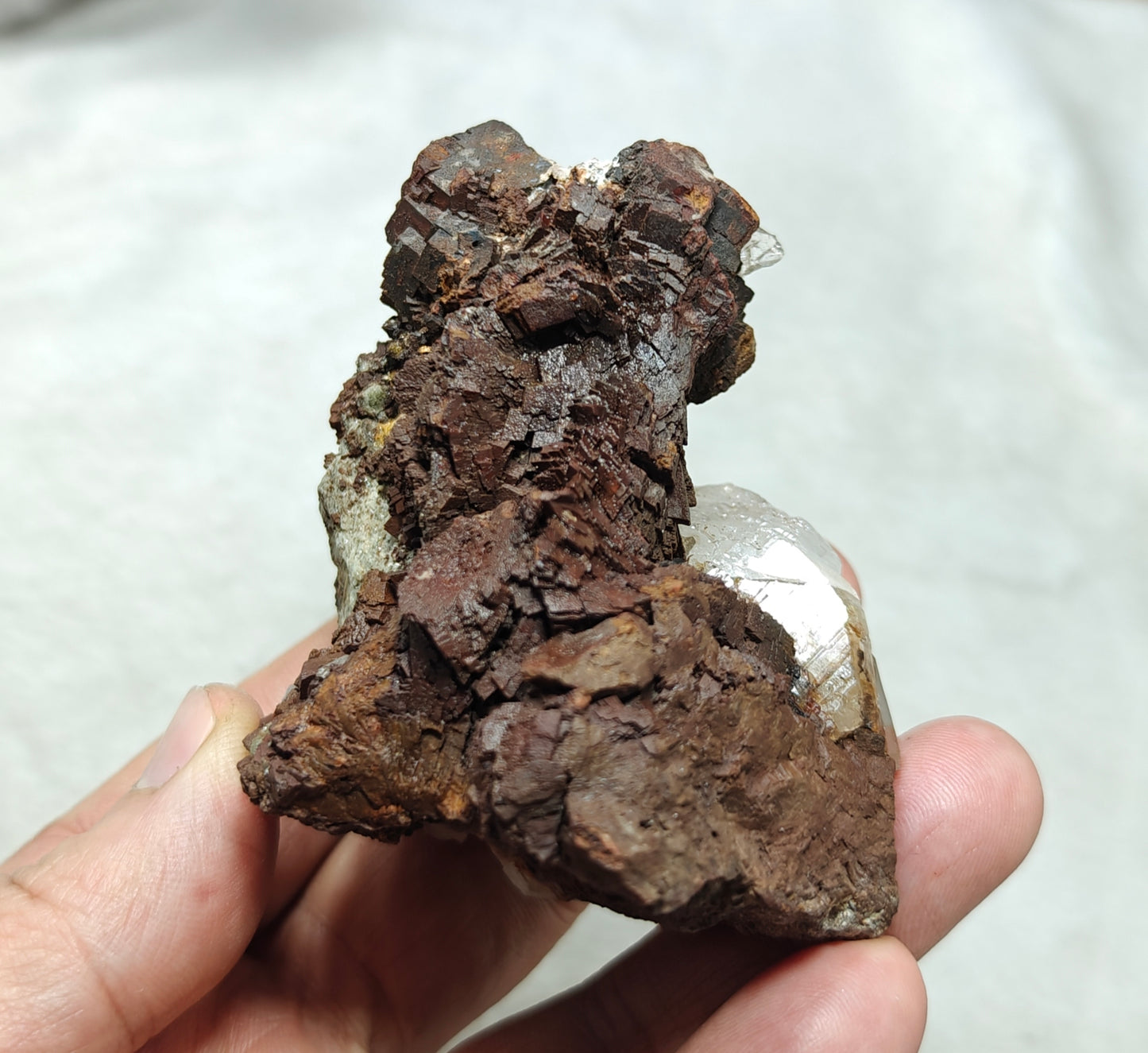 Natural siderite specimen on matrix with quartz 234 grams