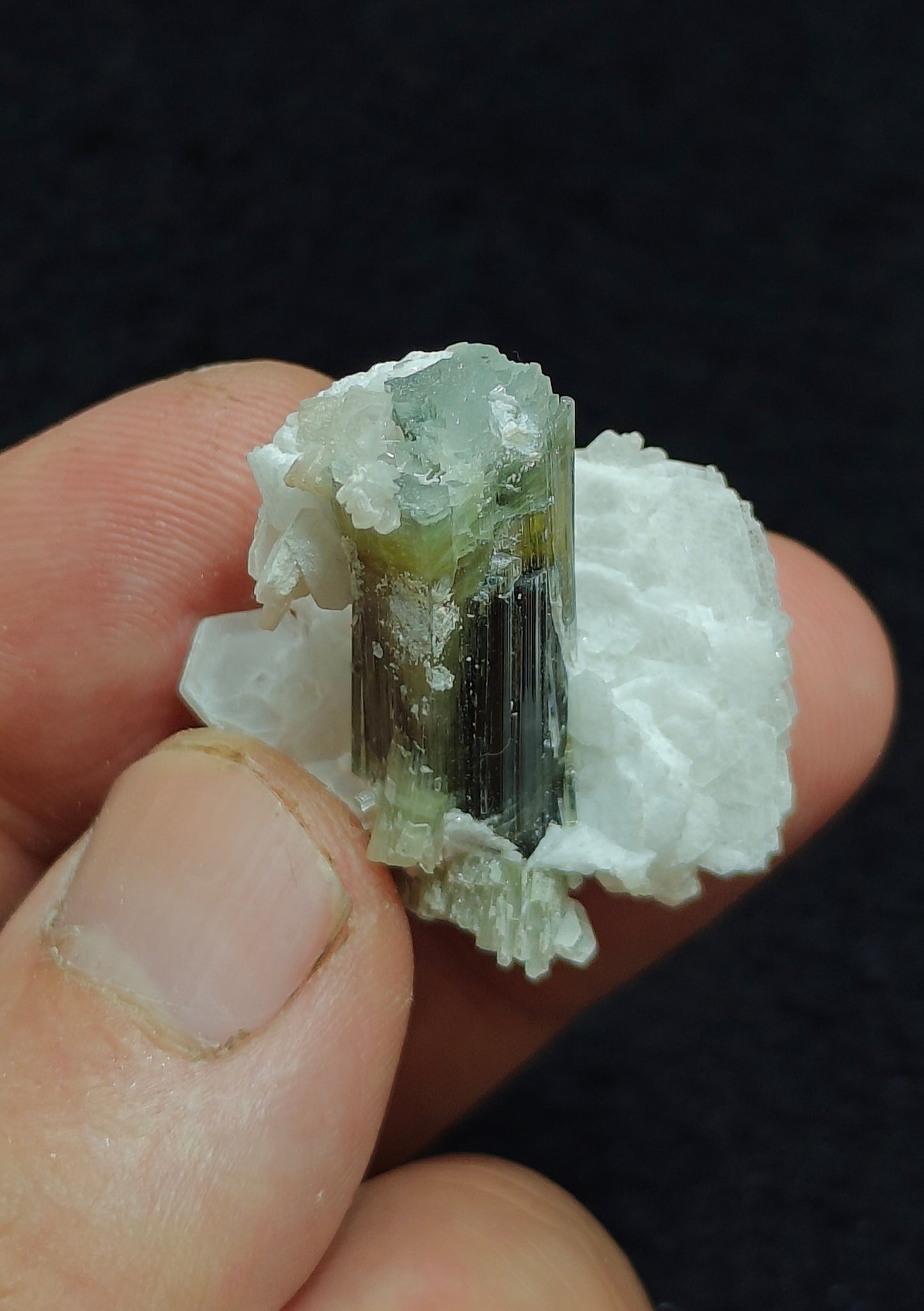 Natural dark green Tourmaline crystal and associated cleavlandite 10 grams