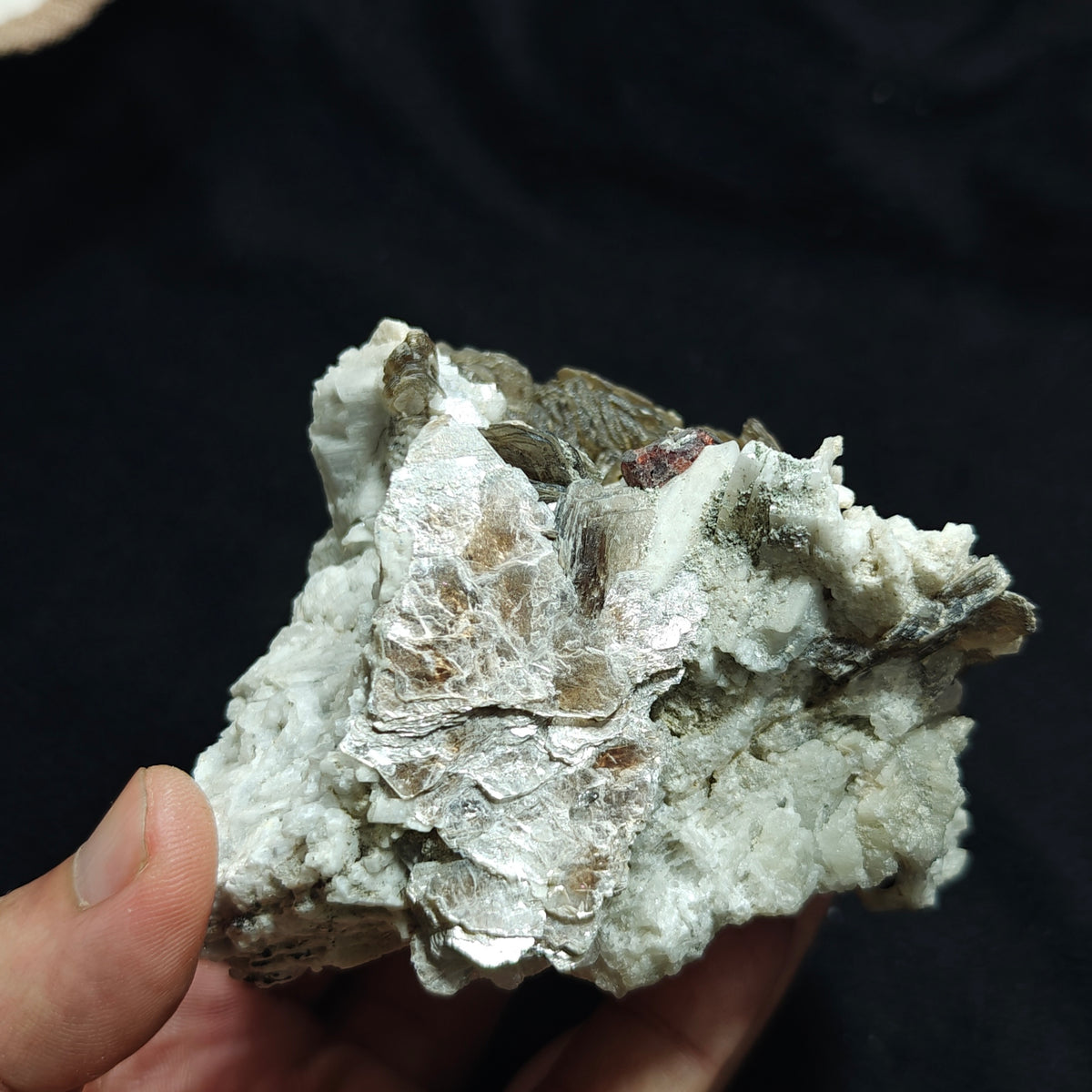 Natural spessartine garnet embedded in muscovite, with albite and quartz 544 grams