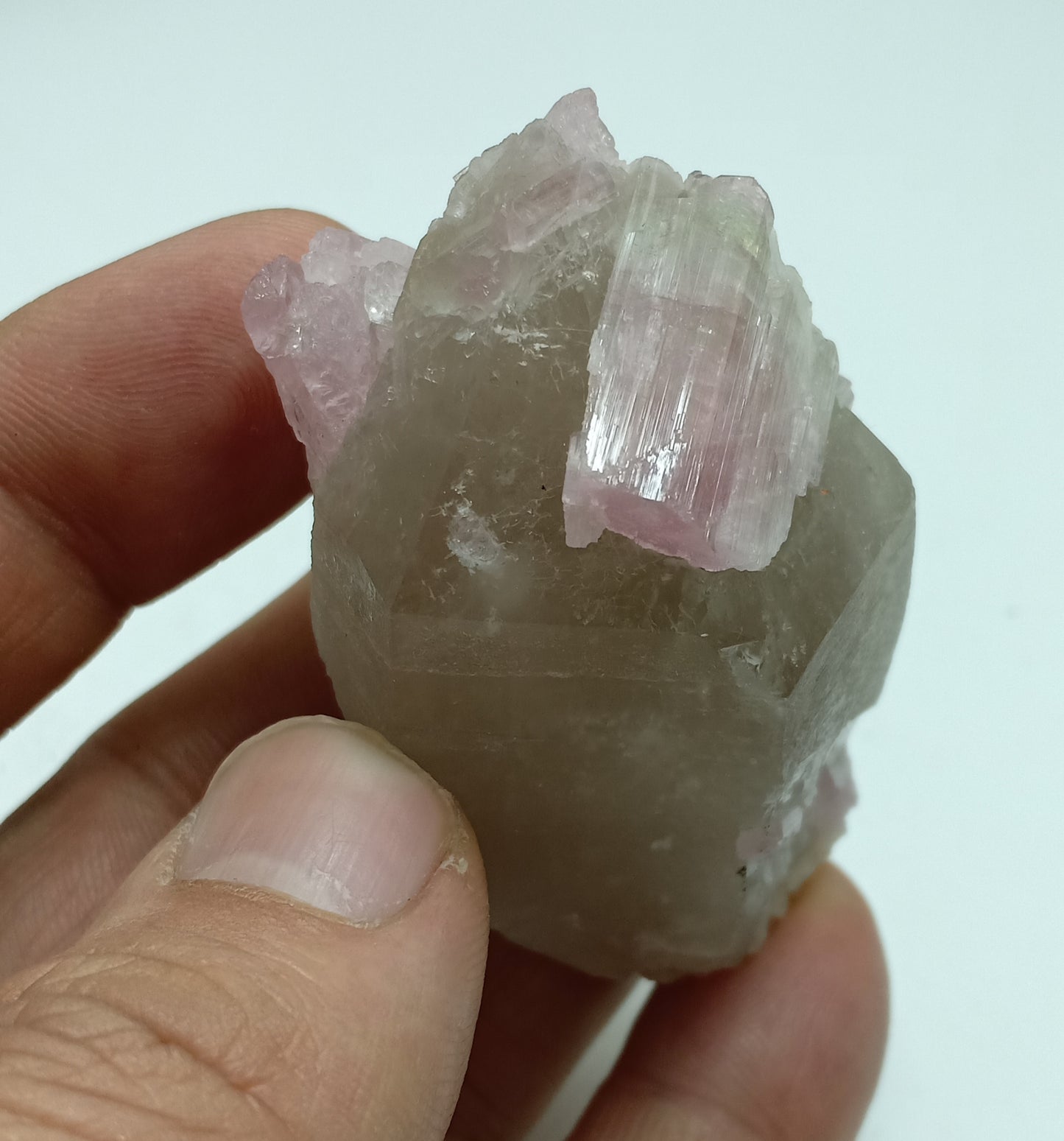 An amazing beautiful specimens of pink Tourmaline crystals Terminated smoky quartz 80g