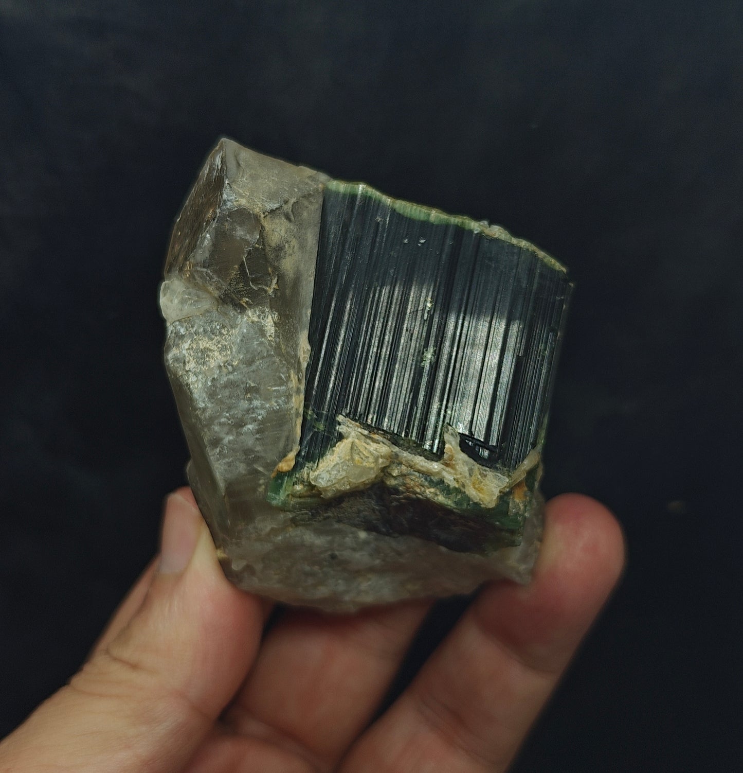 Natural greencap black/green Tourmaline crystal with smoky quartz 212 grams