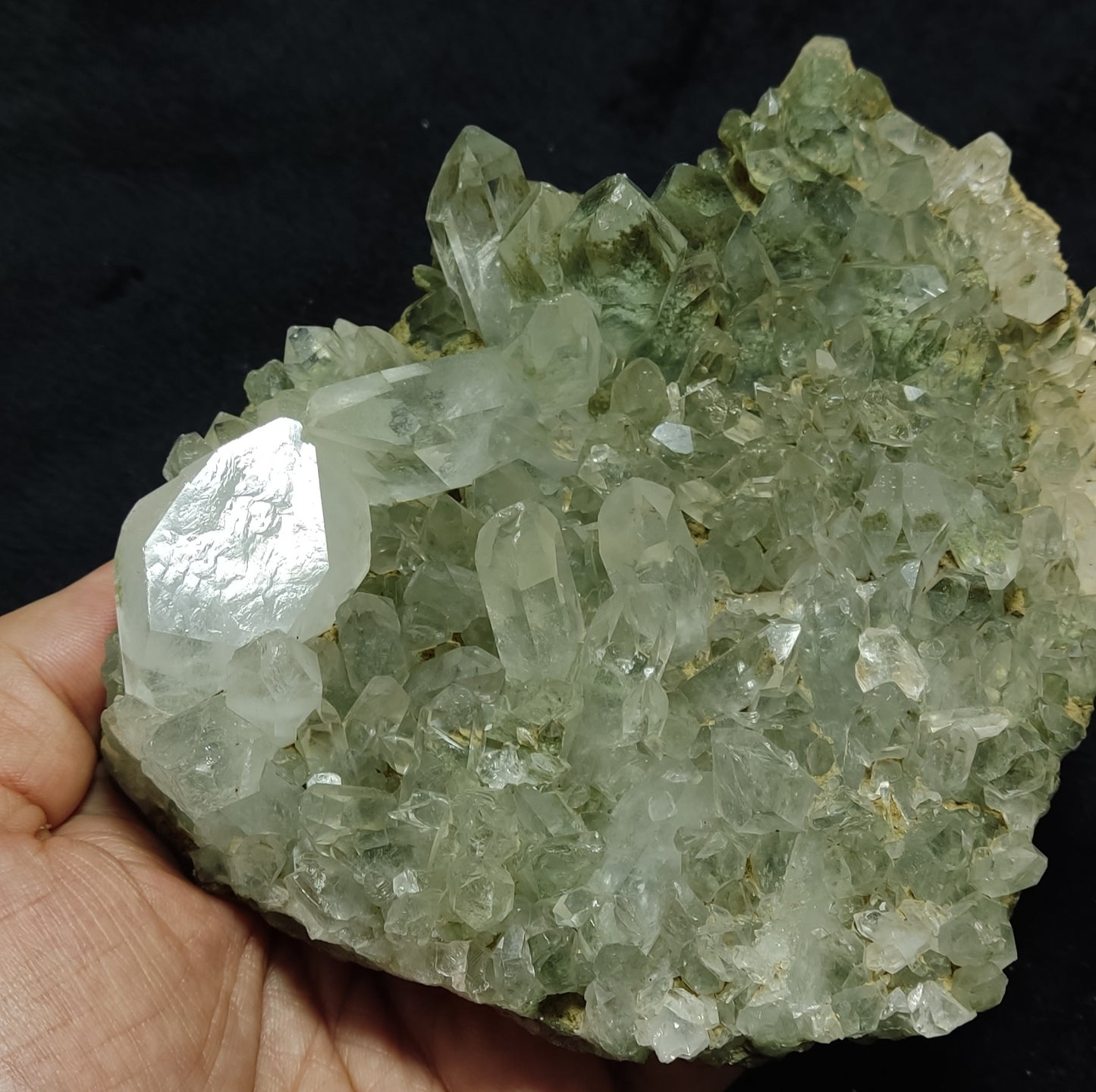 Chlorite Quartz cluster 512 grams