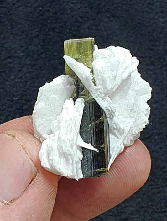 Greencap Tourmaline crystal with associated cleavelandite 10 grams