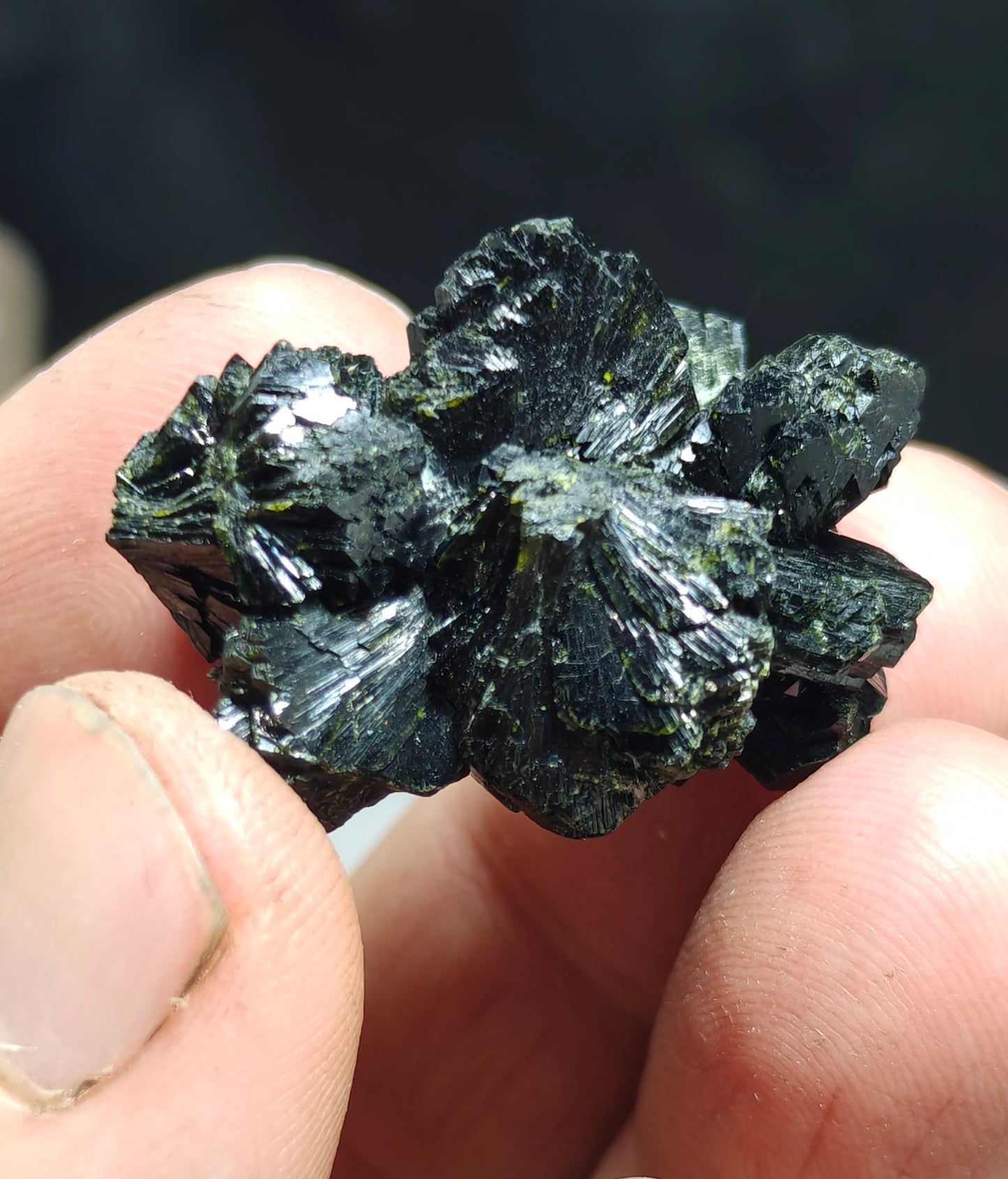 Bowtie Epidote spray cluster 23 grams