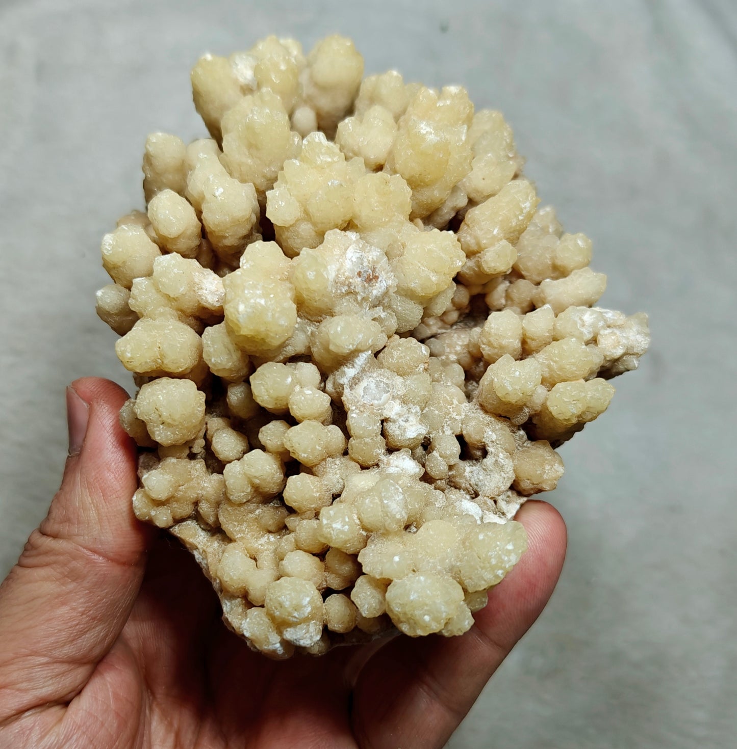 Natural aragonite crystals cluster flower shape 536 grams