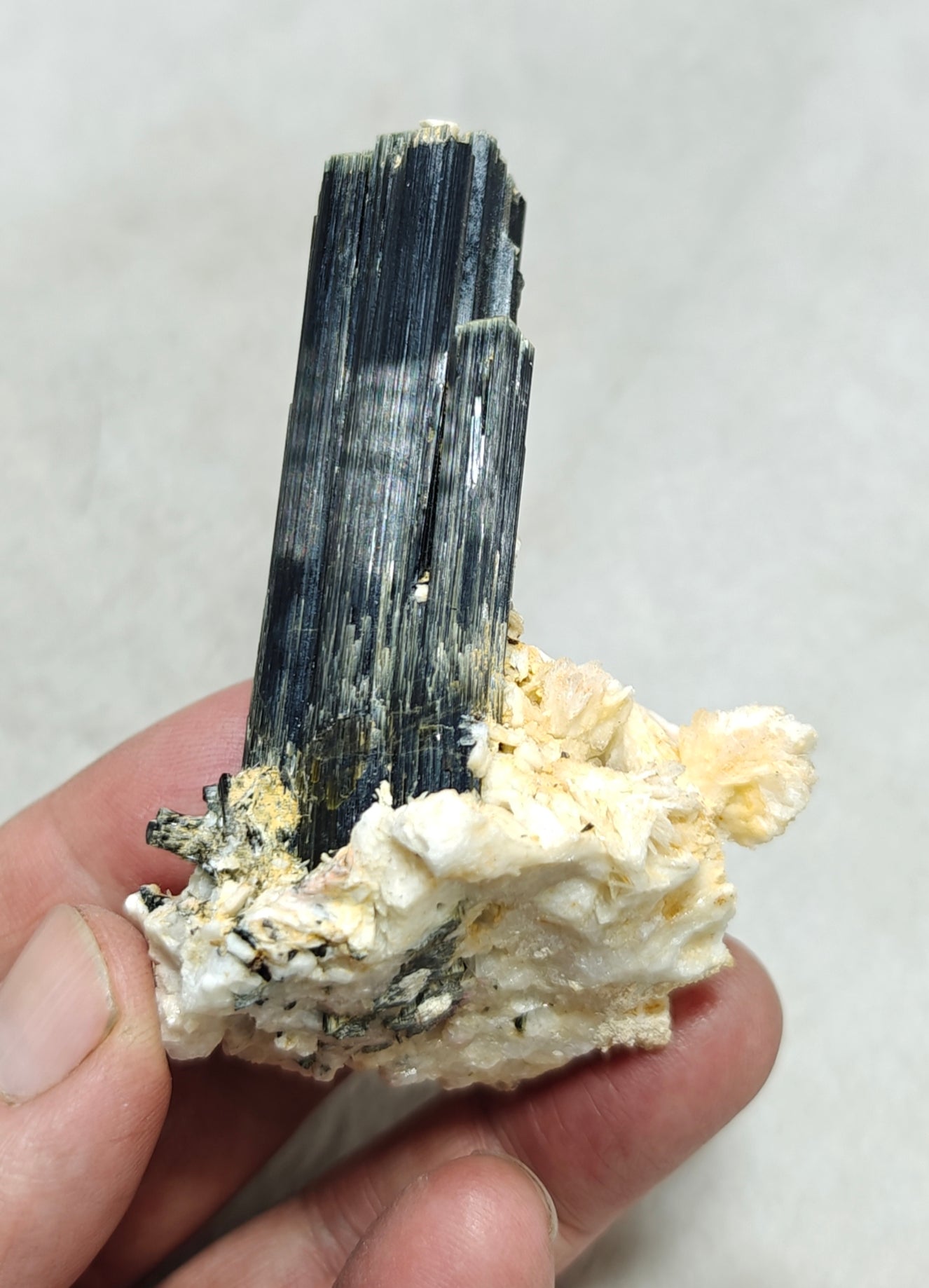 Tourmaline crystals on matrix with Albite attachment self standing 89 grams
