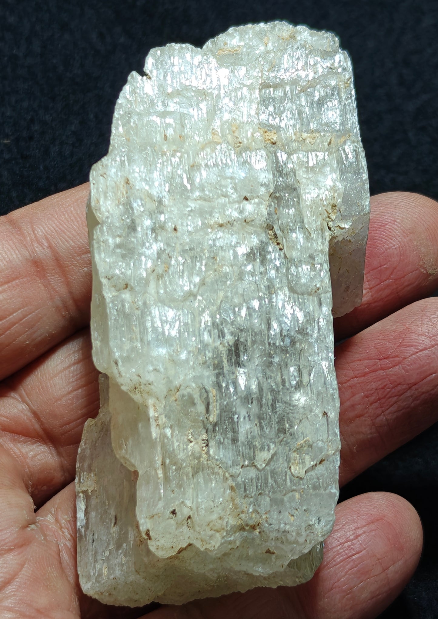 An amazing specimen of Bicolor terminated spodumene crystal 157 grams