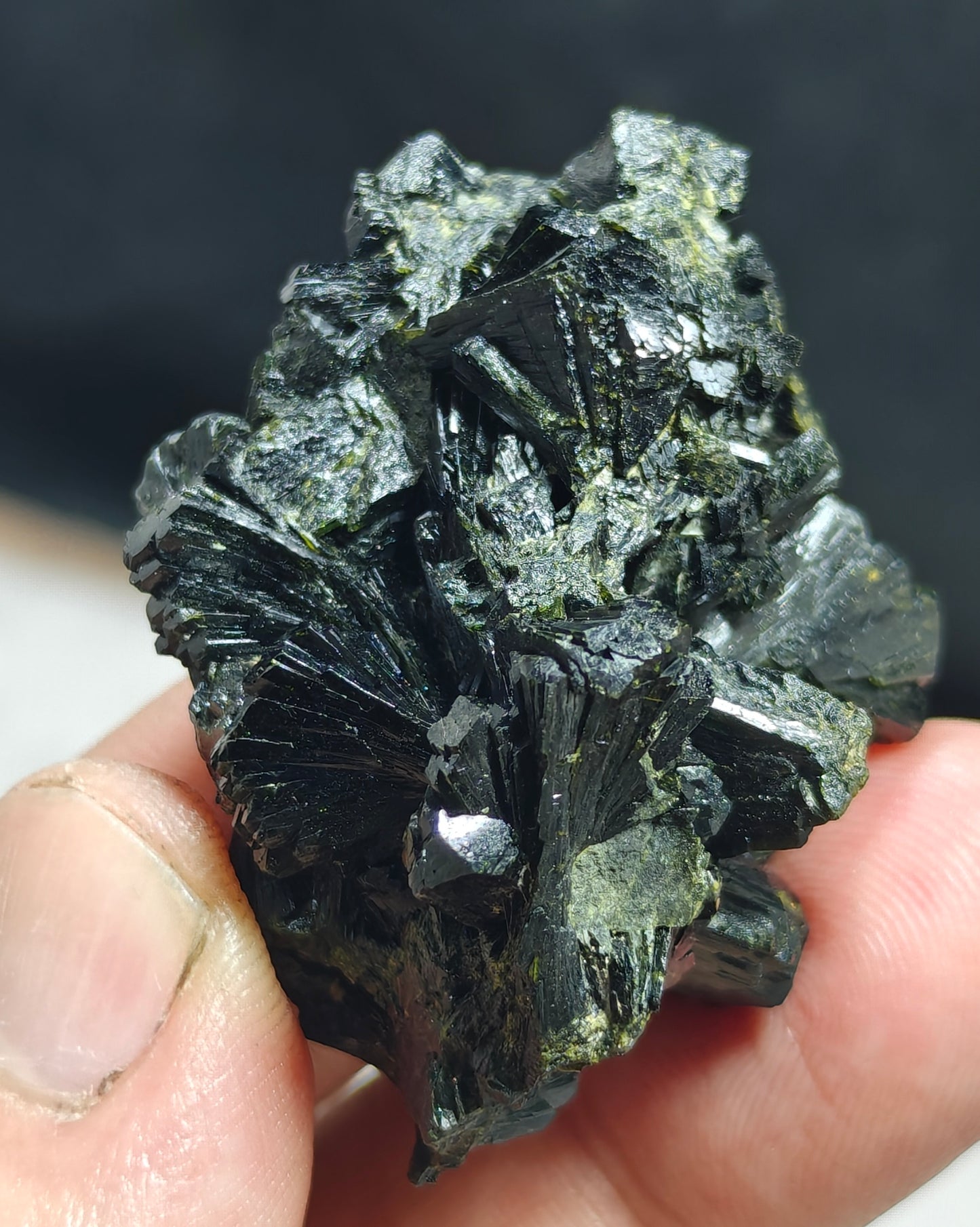 Bowtie Epidote 42 grams
