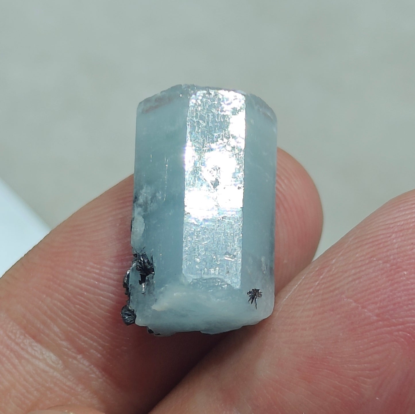 Aquamarine Crystal with tantalite 27 carats
