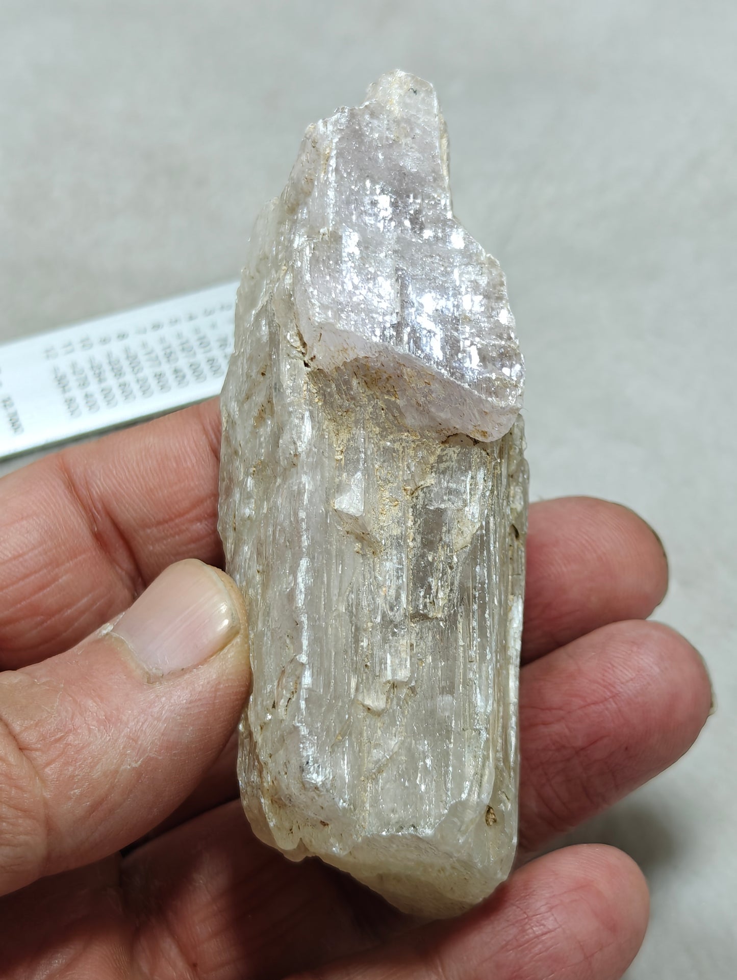 An amazing specimen of Bicolor terminated spodumene crystal 157 grams