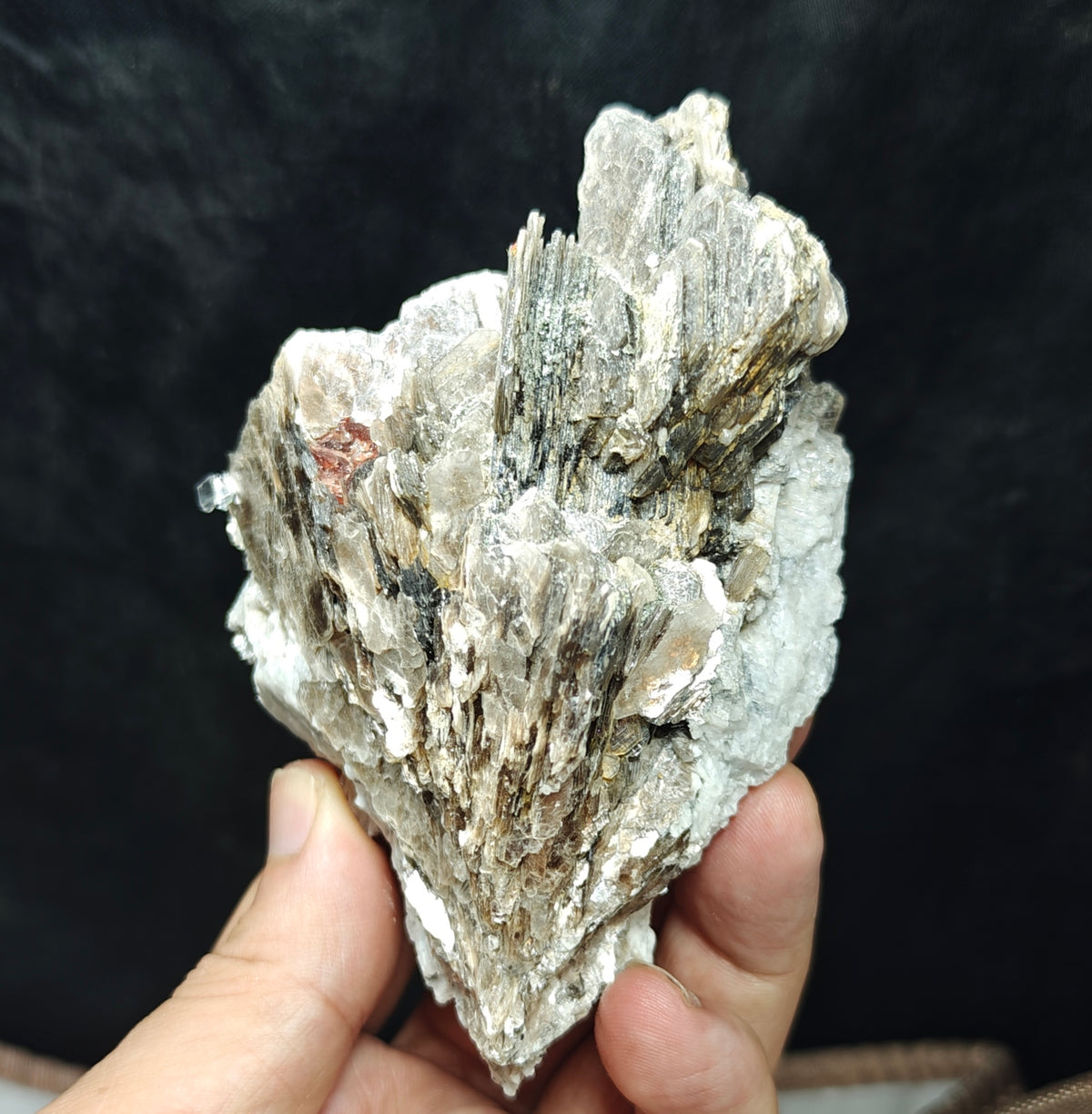 Natural spessartine garnet embedded in muscovite and albite 433 grams