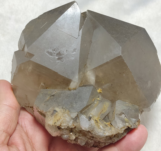 Natural Smoky Quartz Twin formations Cabinet Size  1170 grams