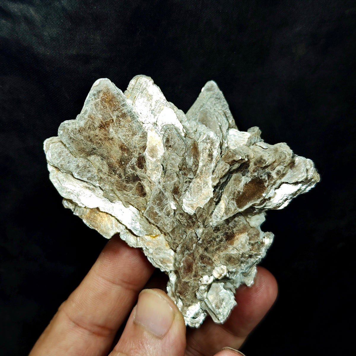 Natural spessartine garnet embedded in muscovite with albite 152 grams