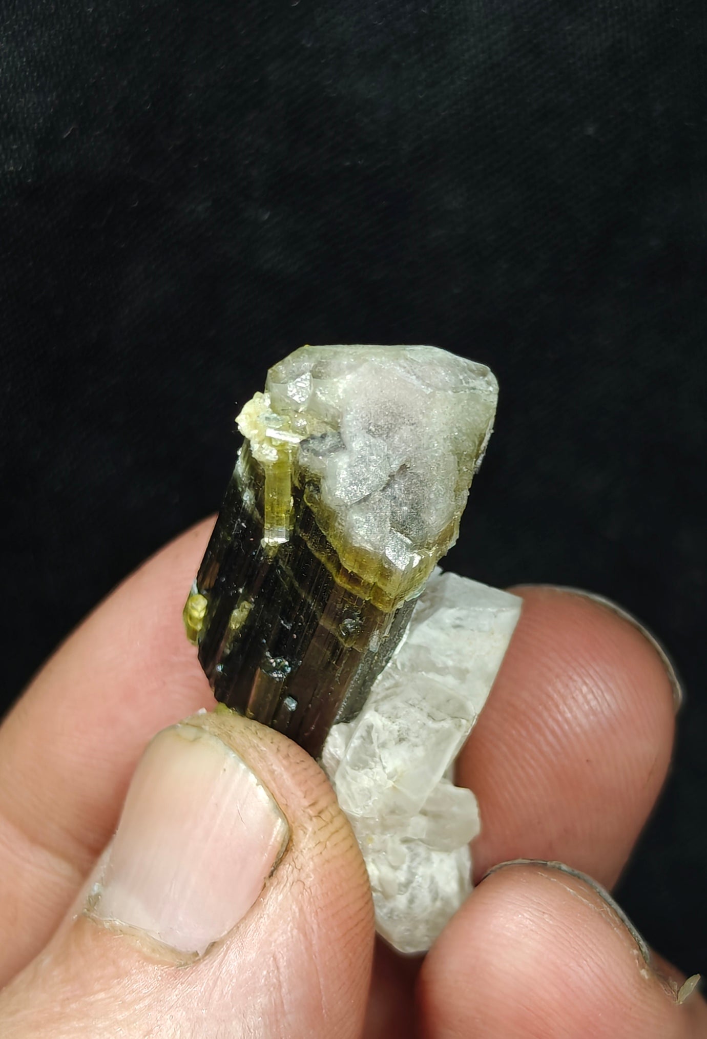 Natural dark green Tourmaline crystal with white head and associated quartz 14 grams