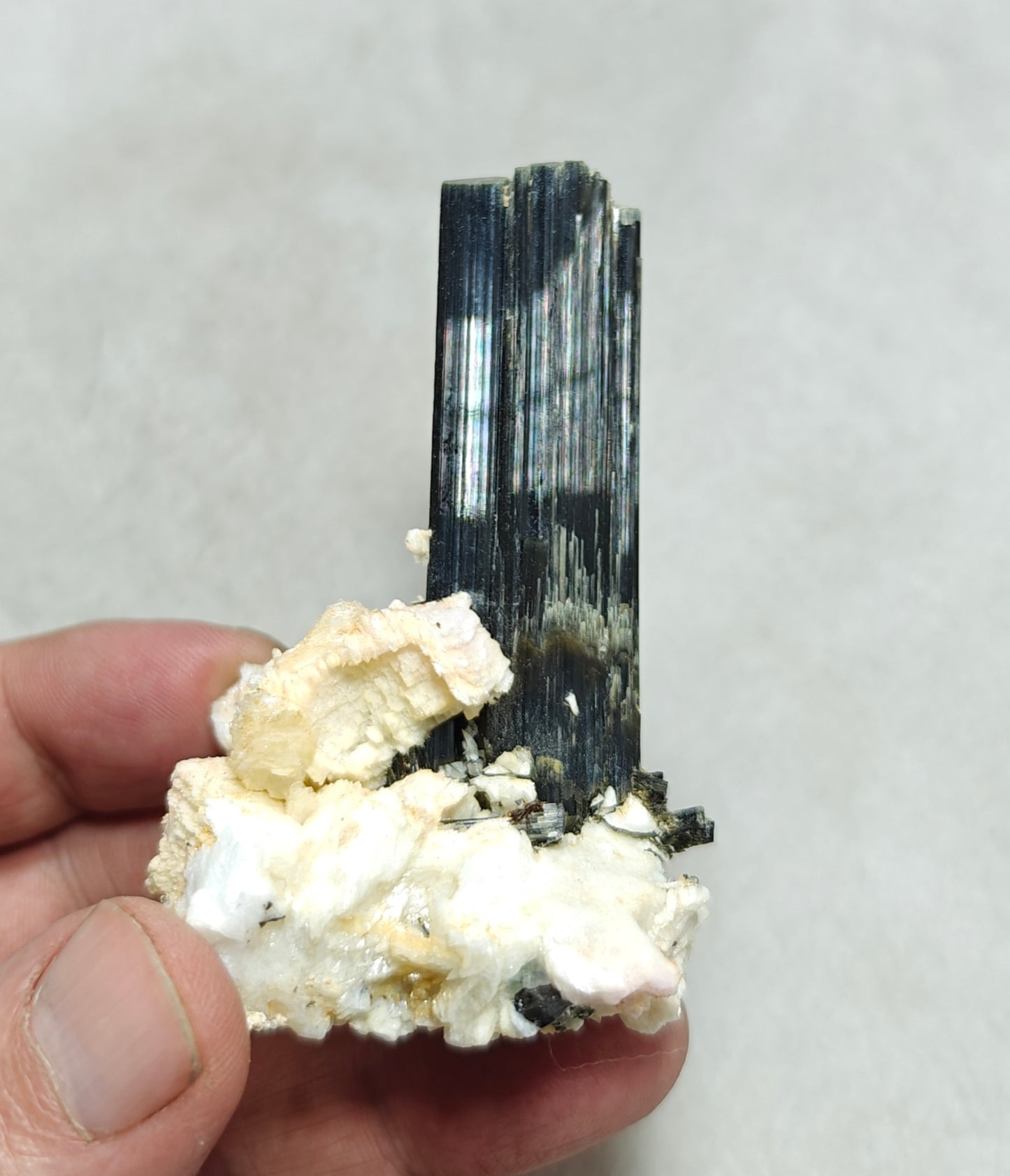 Tourmaline crystals on matrix with Albite attachment self standing 89 grams