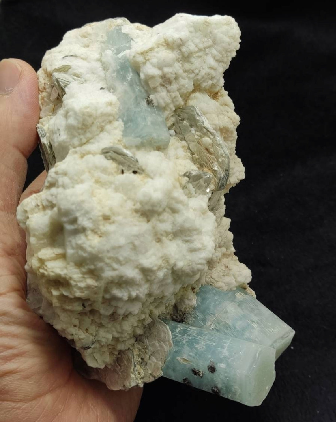 Aesthetic specimen of Aquamarine Crystals with associated tantalite on matrix of Albite, mica and some Schorl 1026 grams