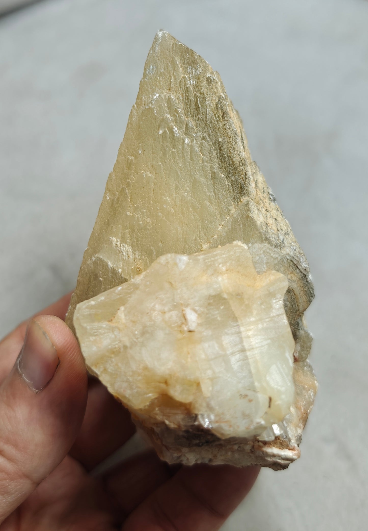 Natural Dogteeth calcite crystal 419 grams