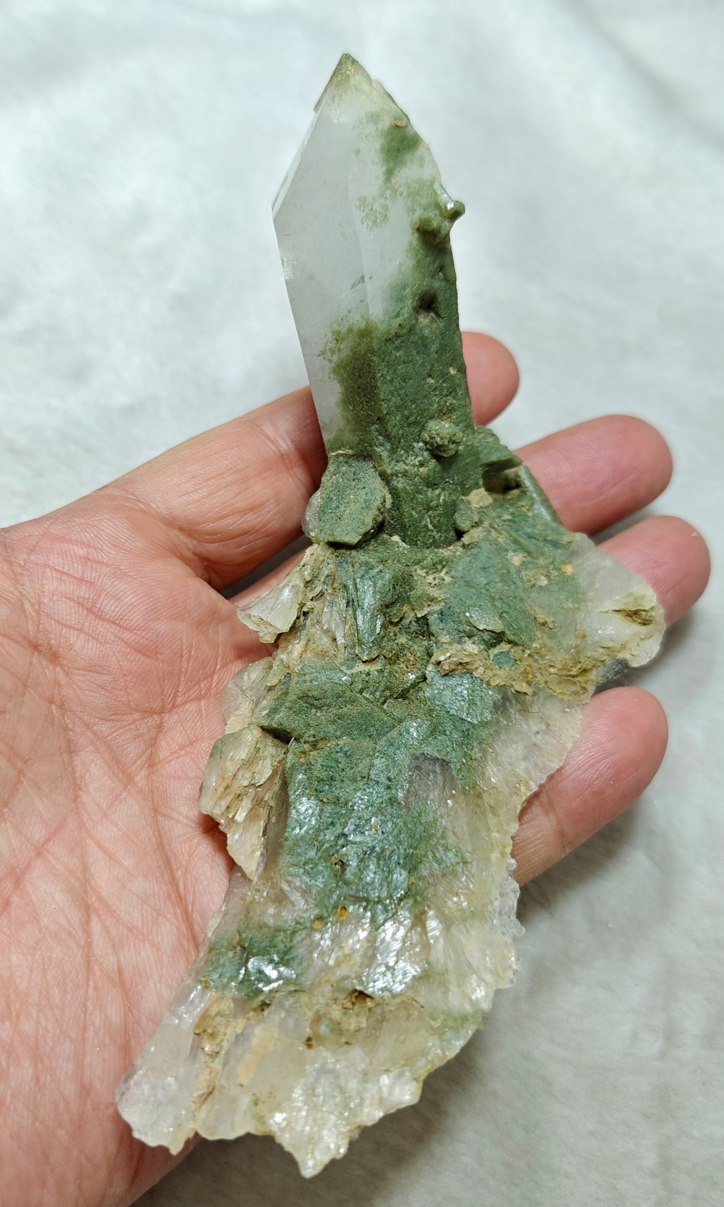 An Aesthetic Natural Specimen of beautifully terminated Chlorite Quartz Crystal 168 grams