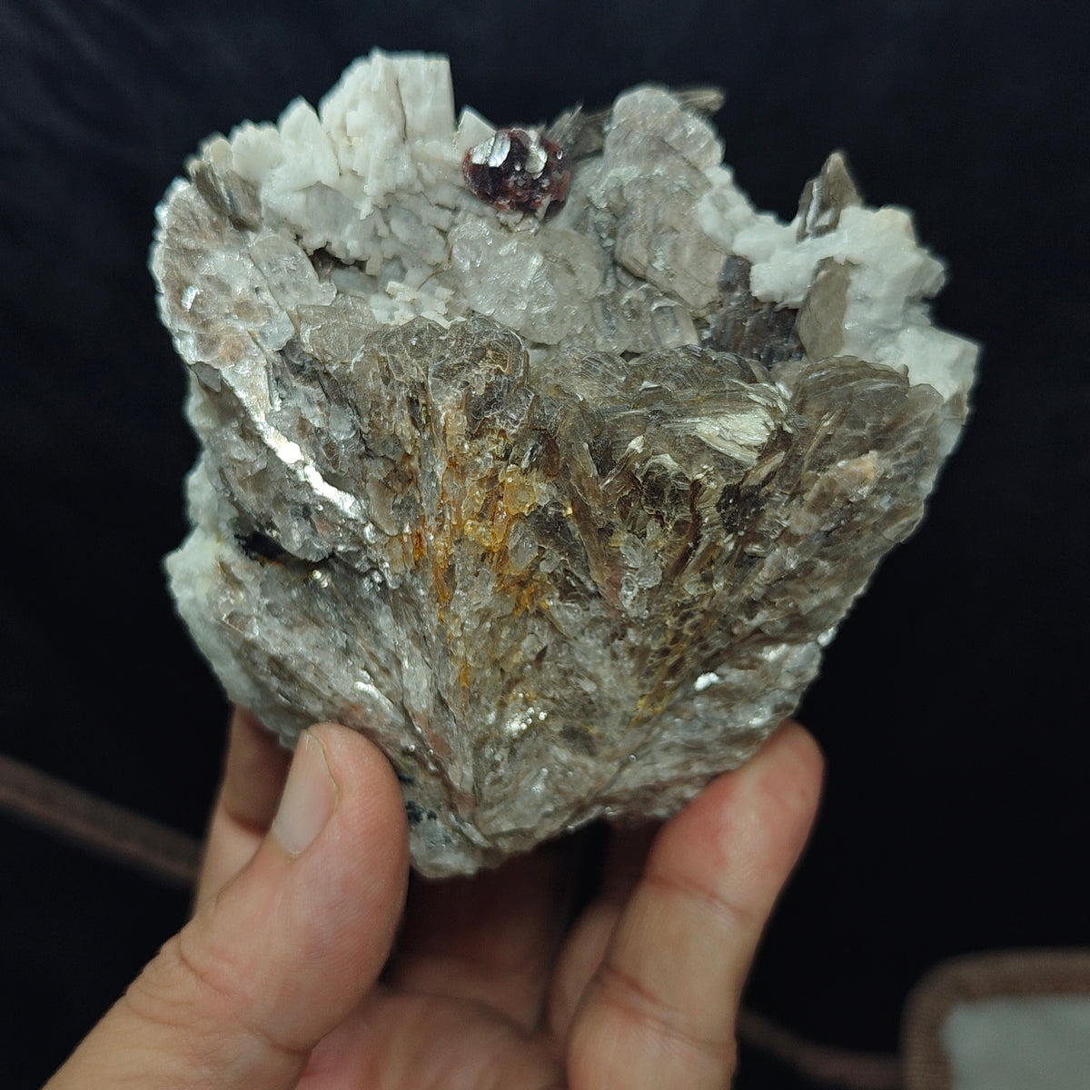 Natural spessartine garnet embedded in muscovite, with albite and quartz 544 grams