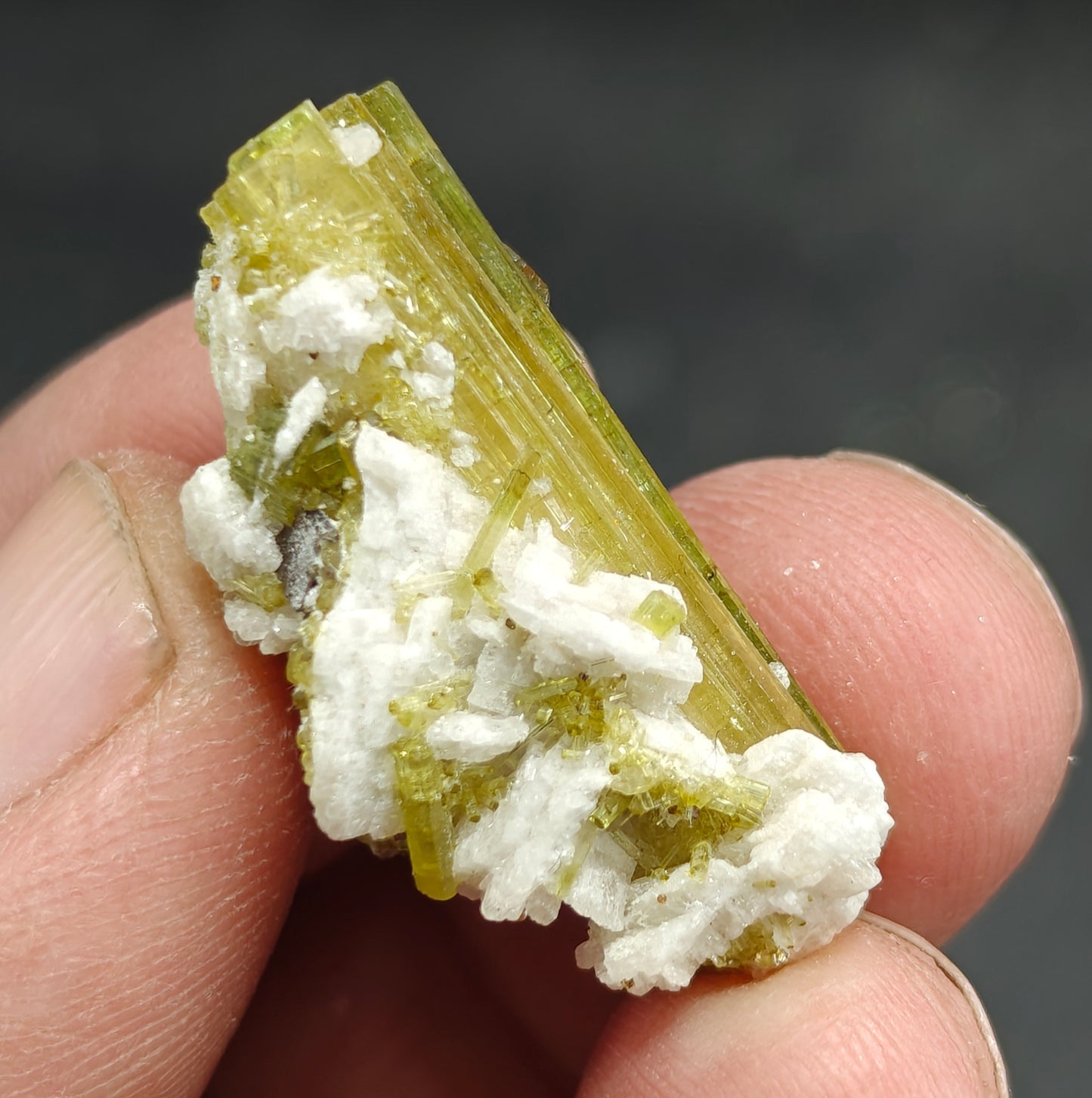 Small aesthetic green tourmaline specimen 33 carats